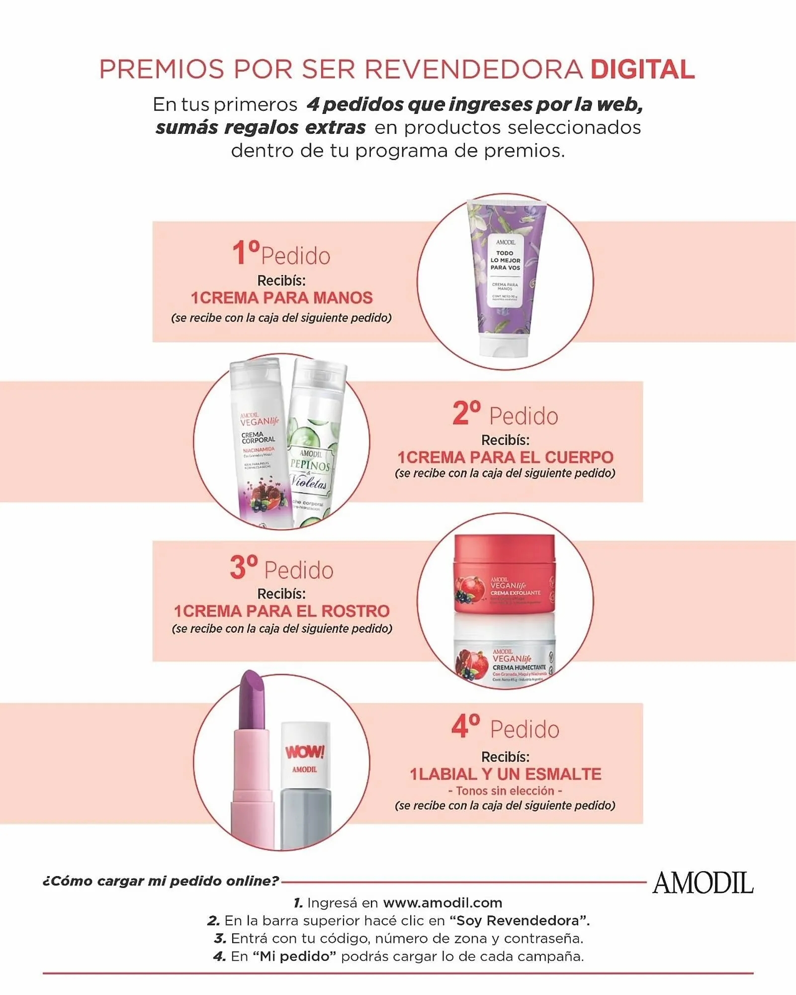 Ofertas de Catálogo Amodil 7 de mayo al 13 de mayo 2025 - Página 3 del catálogo