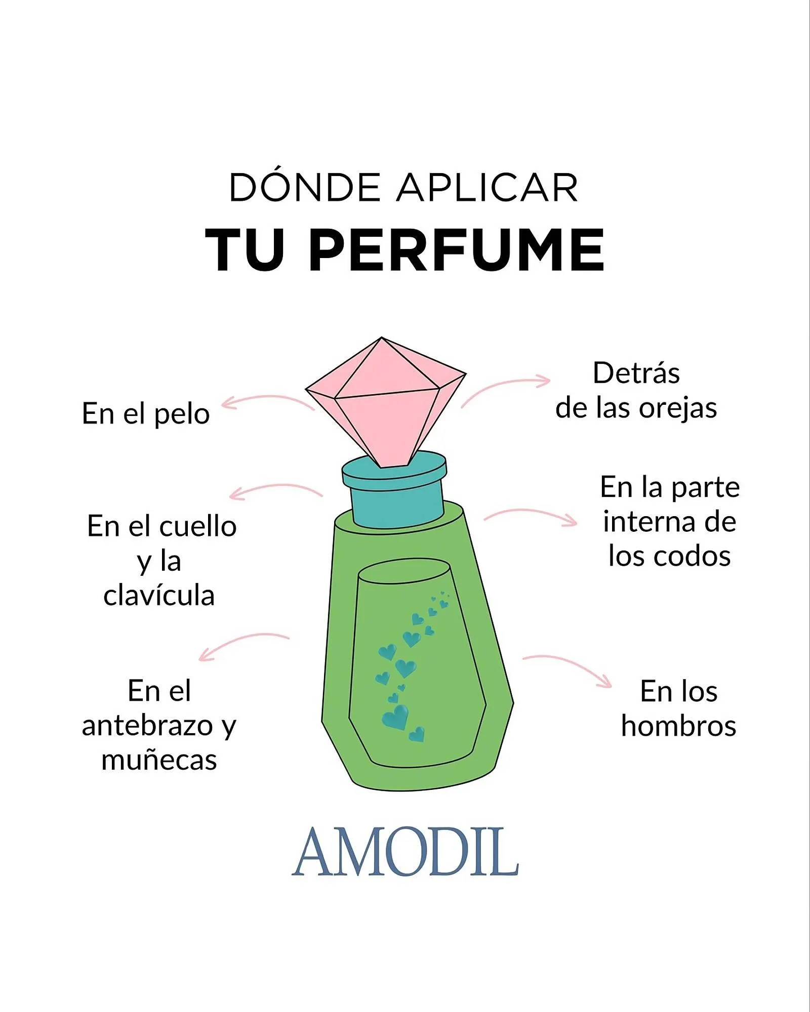 Ofertas de Catálogo Amodil 5 de mayo al 31 de mayo 2025 - Página 1 del catálogo