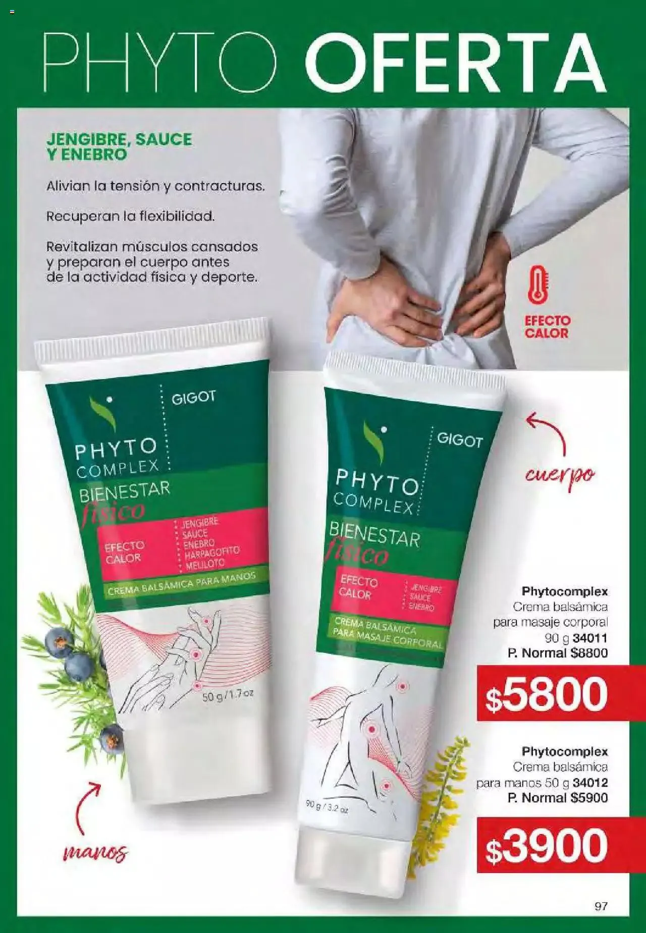 Ofertas de Gigot folleto 6 12 de marzo al 31 de diciembre 2024 - Página 97 del catálogo