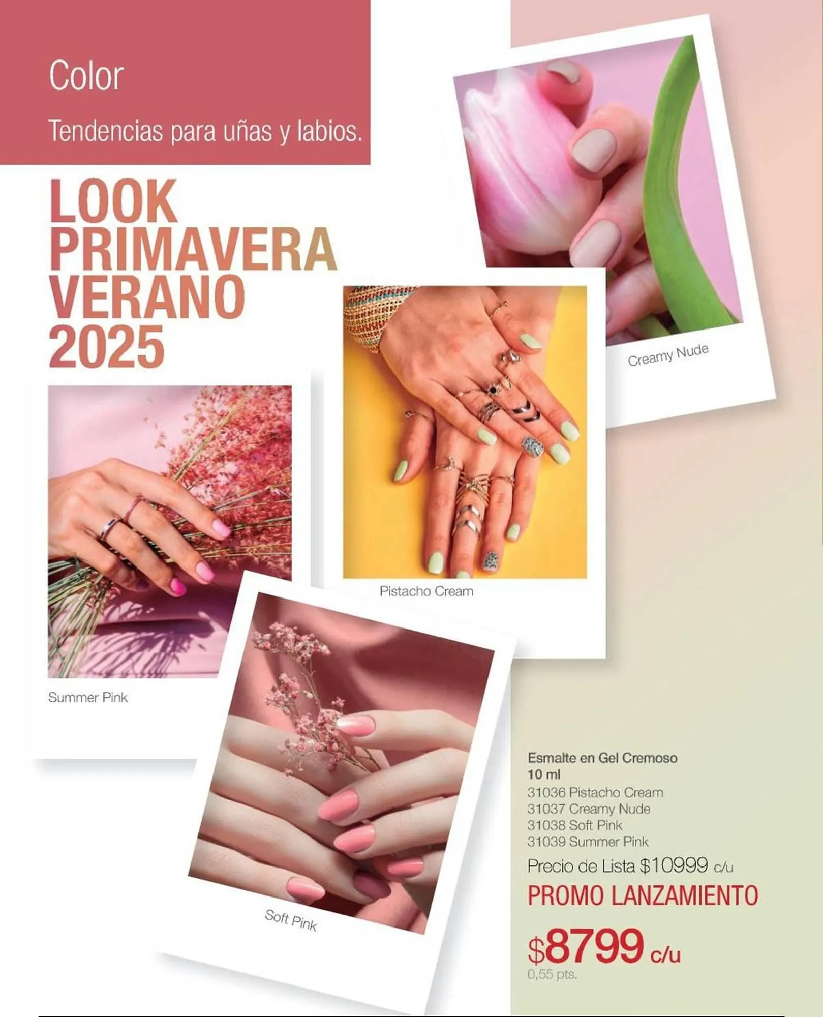 Ofertas de Catálogo Biogreen 4 de noviembre al 30 de noviembre 2025 - Página 80 del catálogo