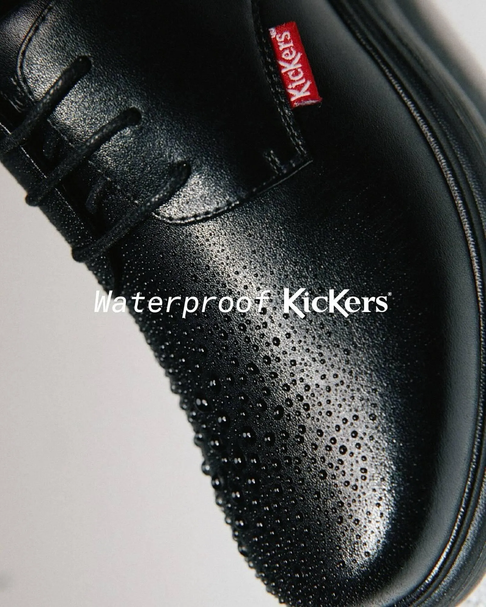 Catálogo Grimoldi - 1