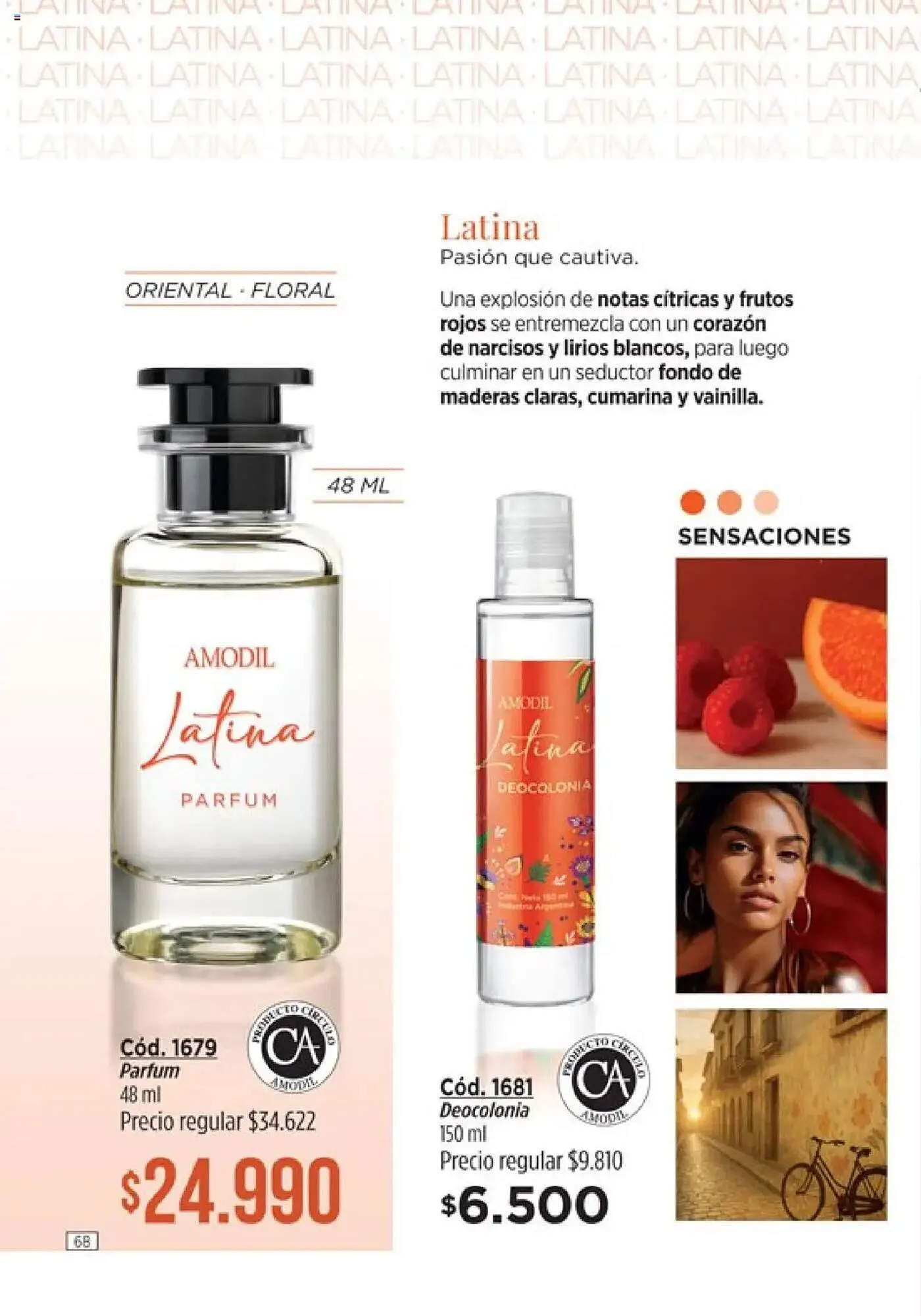 Ofertas de Catálogo Amodil 13 de junio al 27 de junio 2025 - Página 70 del catálogo