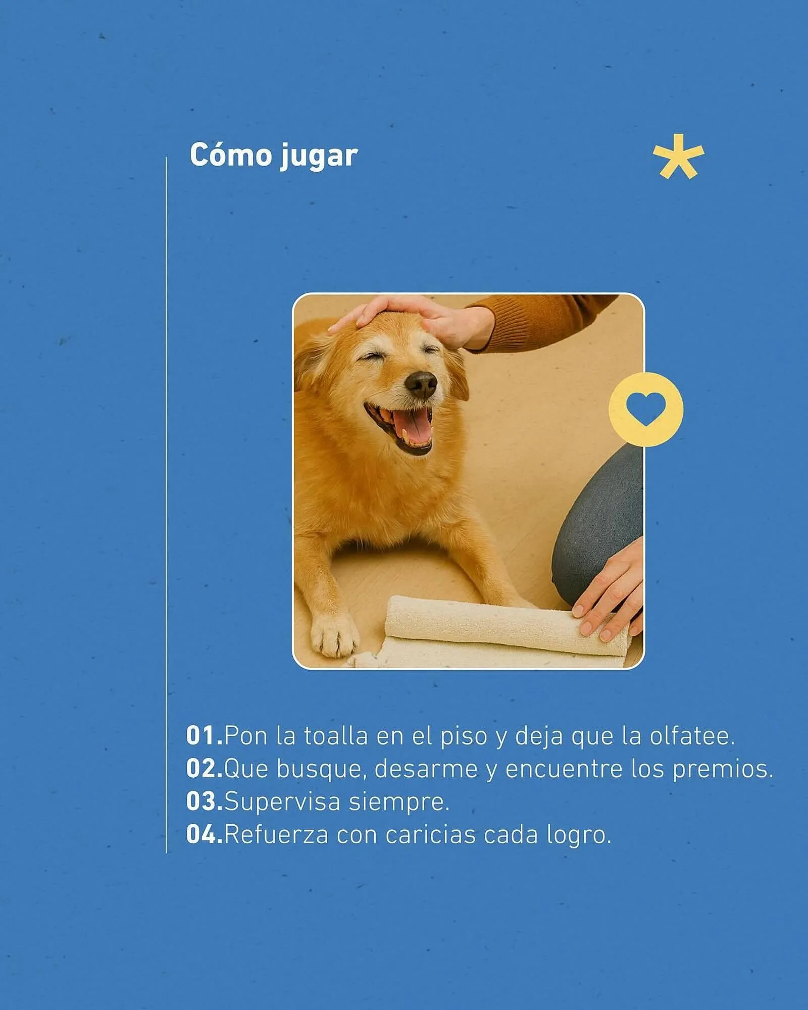 Ofertas de Catálogo Puppis 4 de julio al 31 de julio 2025 - Página 4 del catálogo