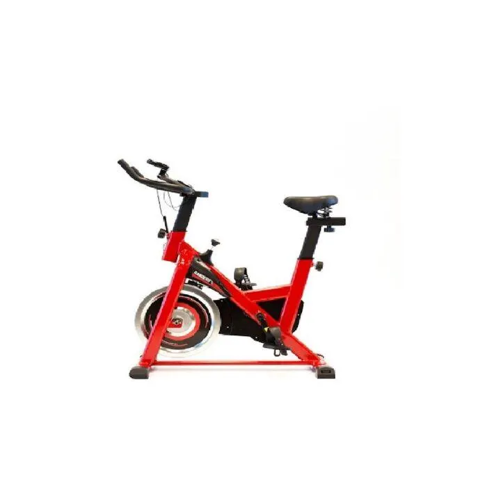 Bicicleta RANDERS Spinning ARG-845SP