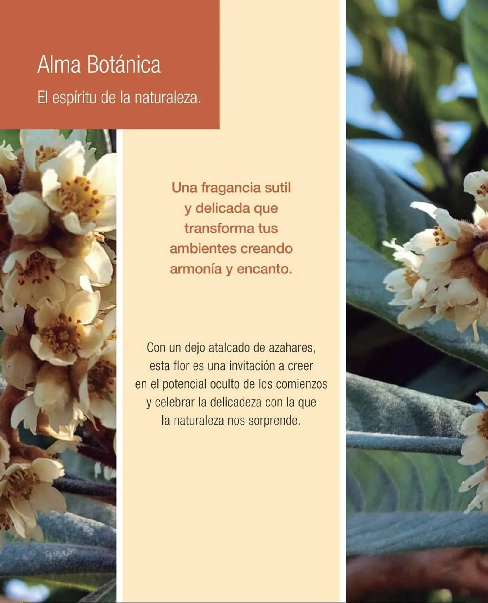 Ofertas de Catálogo Biogreen 28 de julio al 10 de agosto 2025 - Página 10 del catálogo