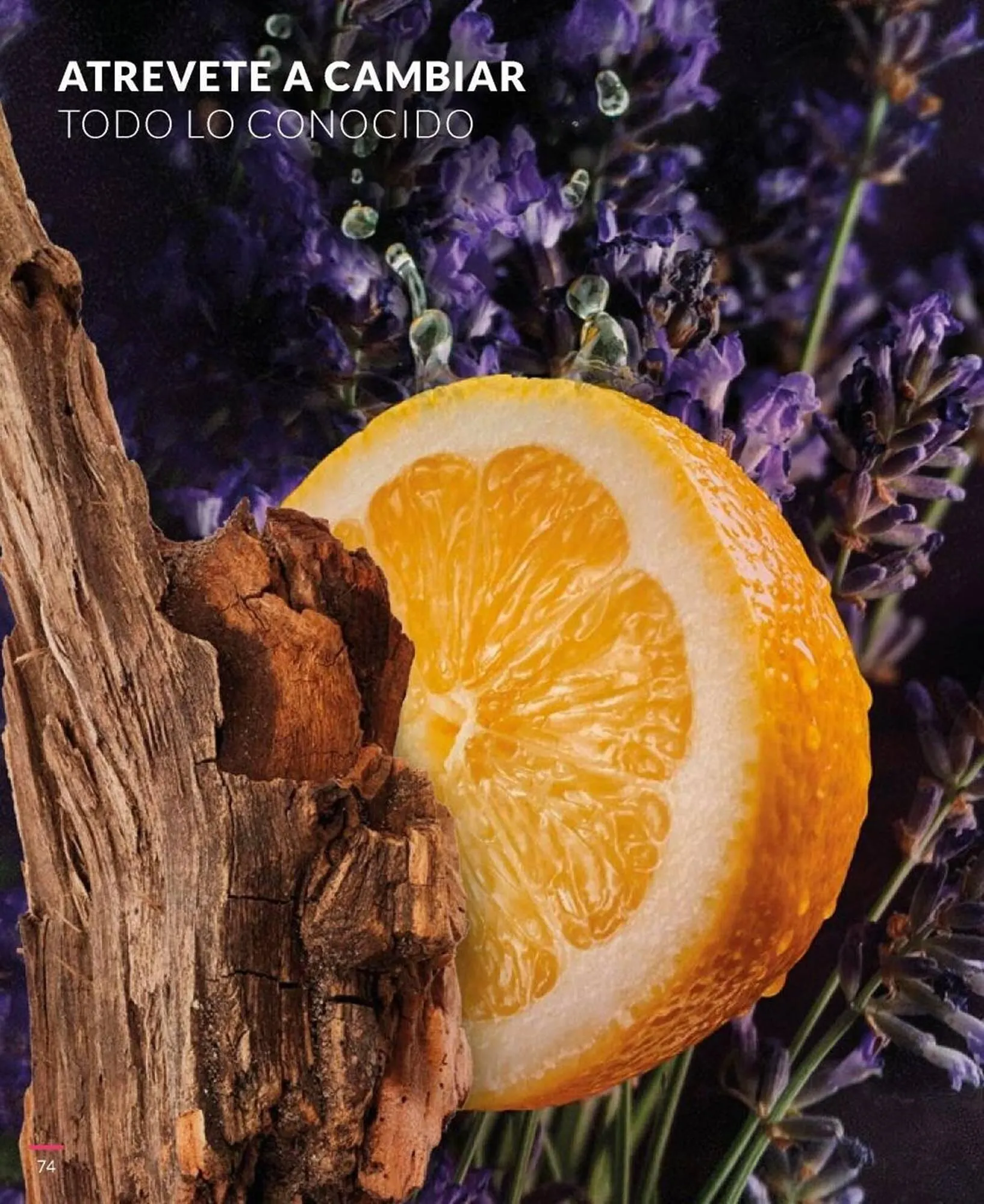 Ofertas de Catálogo Bagués 26 de septiembre al 15 de octubre 2023 - Página 87 del catálogo