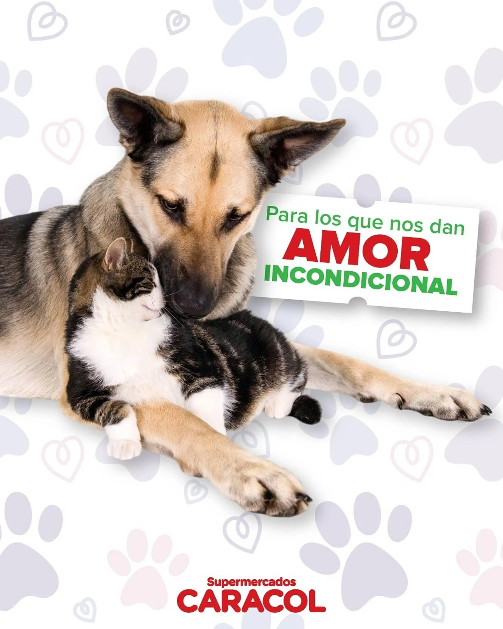 Catálogo Supermercados Caracol - 1