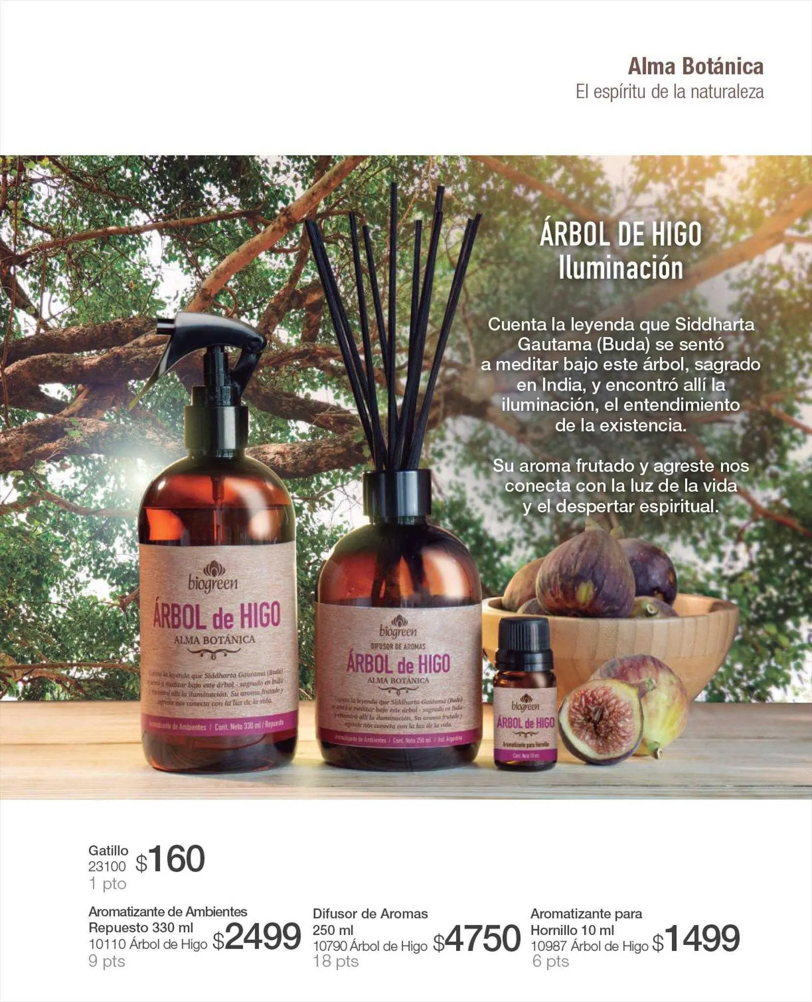 Ofertas de Catálogo Biogreen 17 de agosto al 31 de agosto 2023 - Página 35 del catálogo