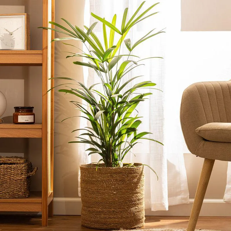 Contenedor Mamushka 28x28 cm