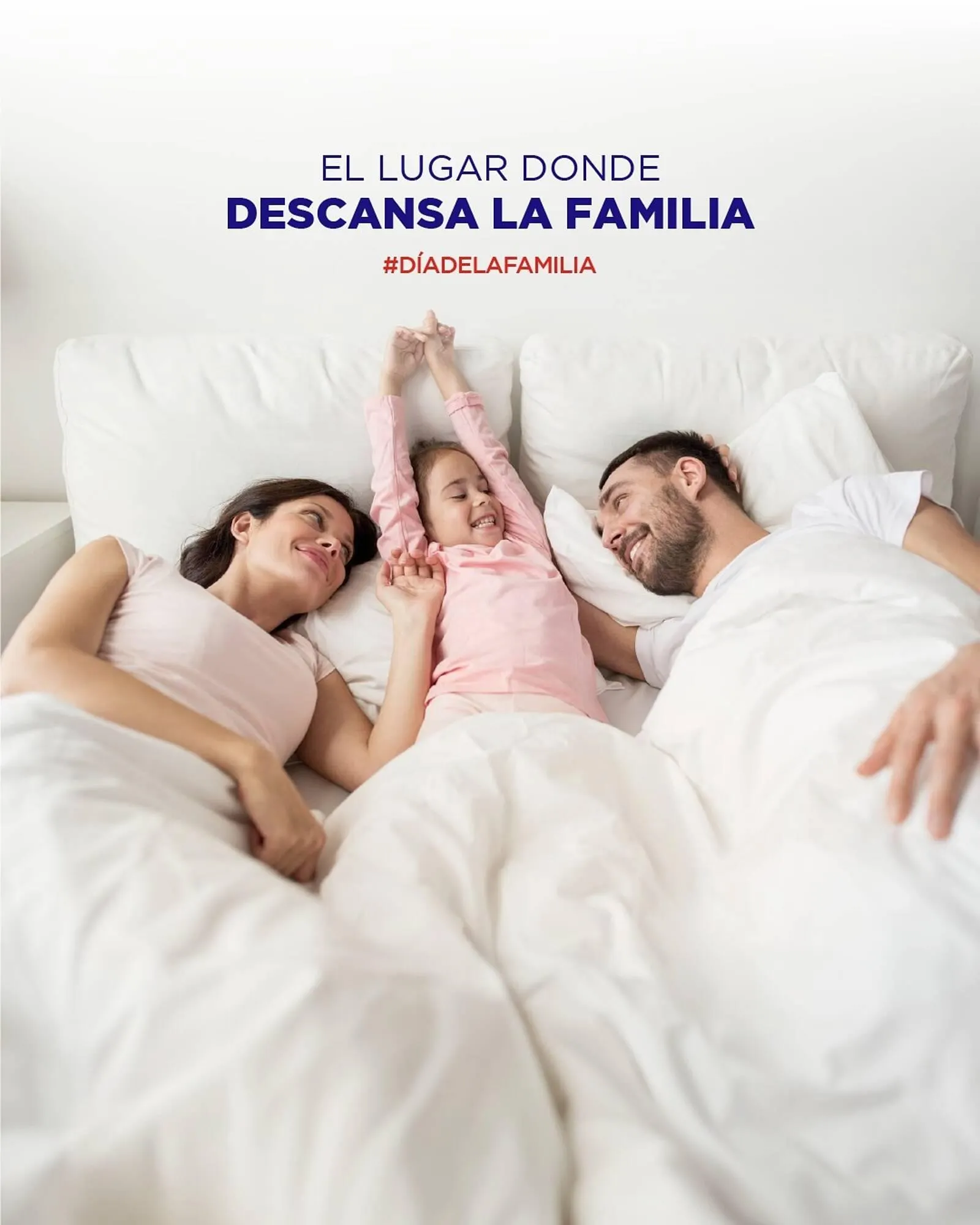 Ofertas de Catálogo La Cardeuse 15 de mayo al 31 de mayo 2025 - Página 1 del catálogo