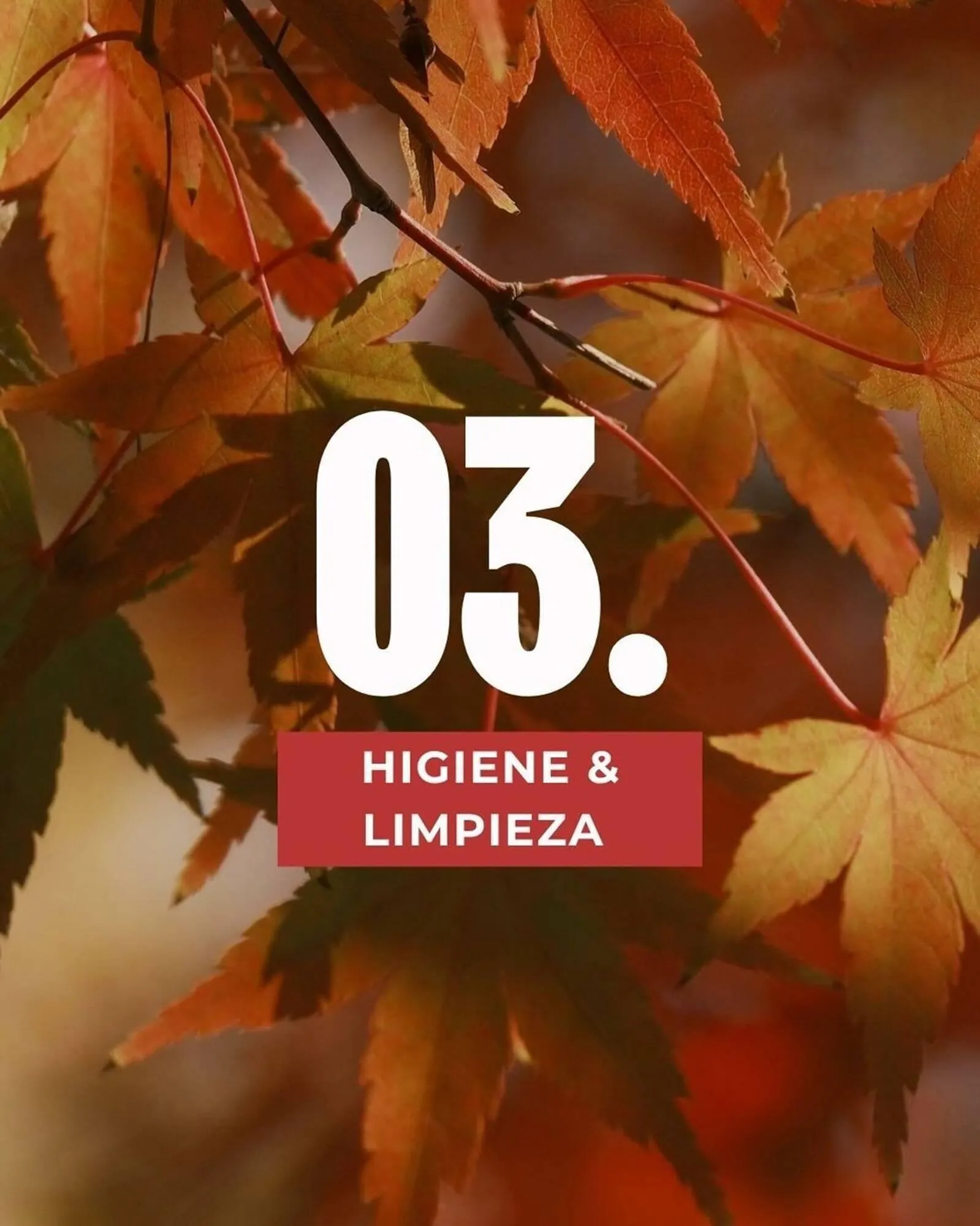 Ofertas de Catálogo Supermercados Zeta 1 de septiembre al 30 de noviembre 2026 - Página 9 del catálogo