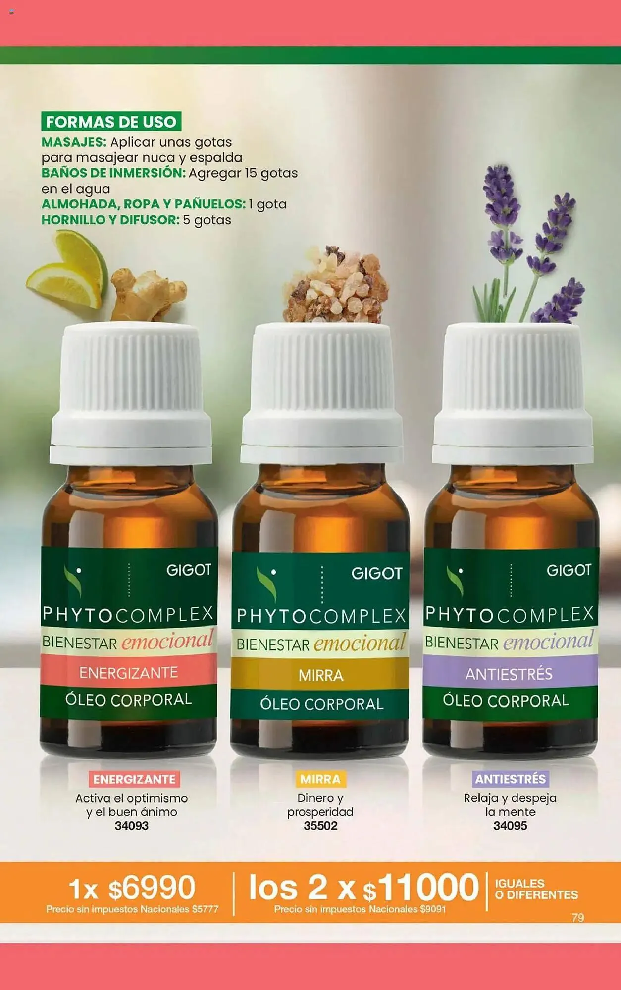 Ofertas de Folleto Gigot 1 de noviembre al 1 de diciembre 2025 - Página 73 del catálogo