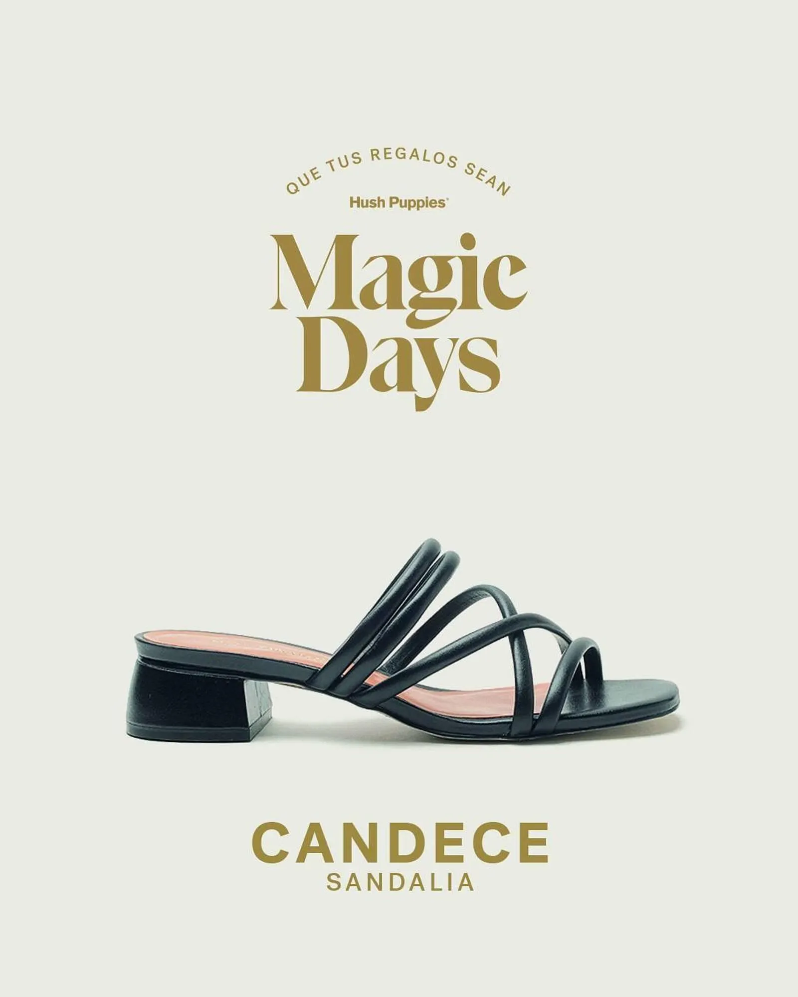 Ofertas de Catálogo Hush Puppies 26 de diciembre al 31 de diciembre 2025 - Página 3 del catálogo