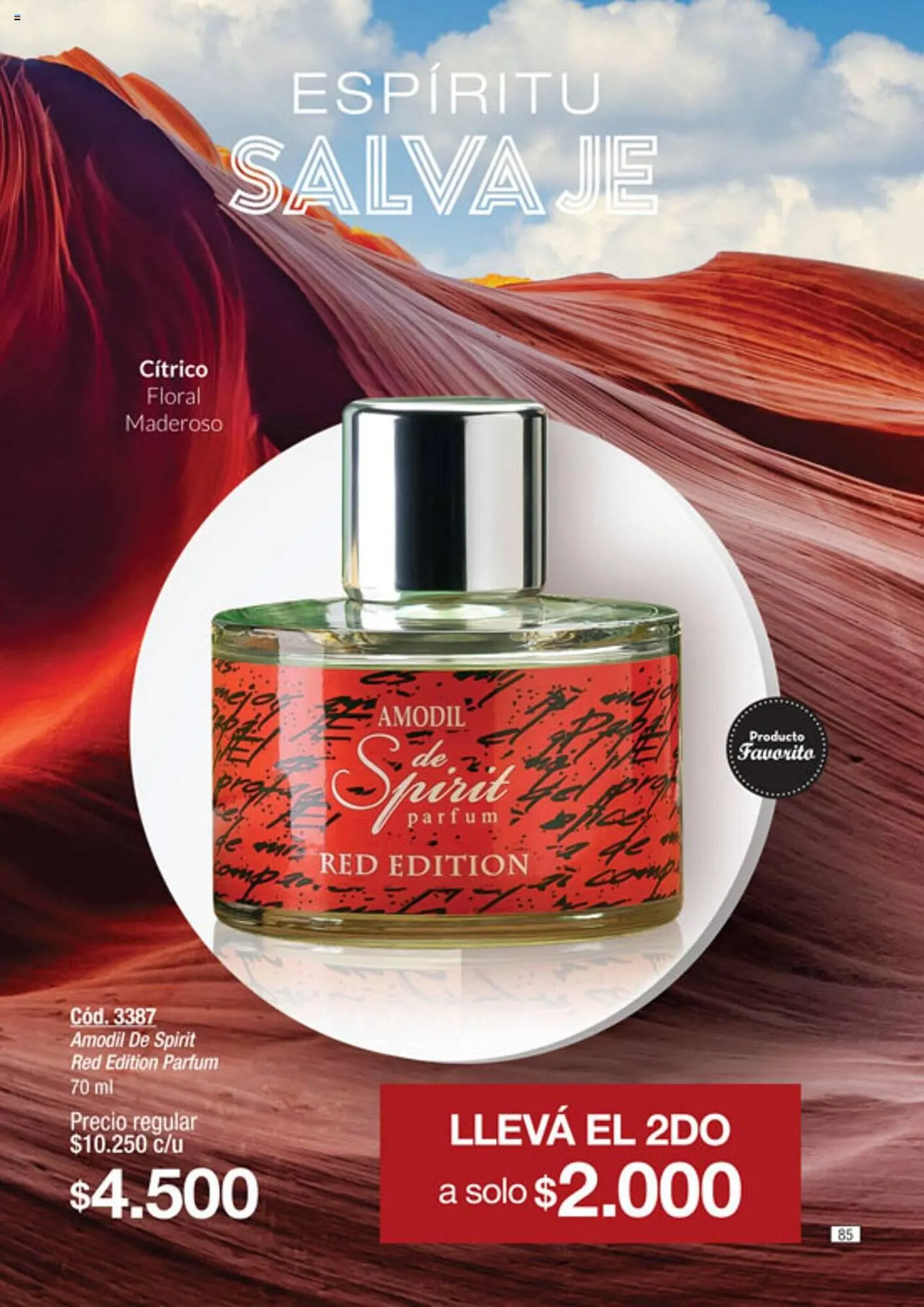 Ofertas de Catálogo Amodil 20 de septiembre al 3 de octubre 2023 - Página 85 del catálogo