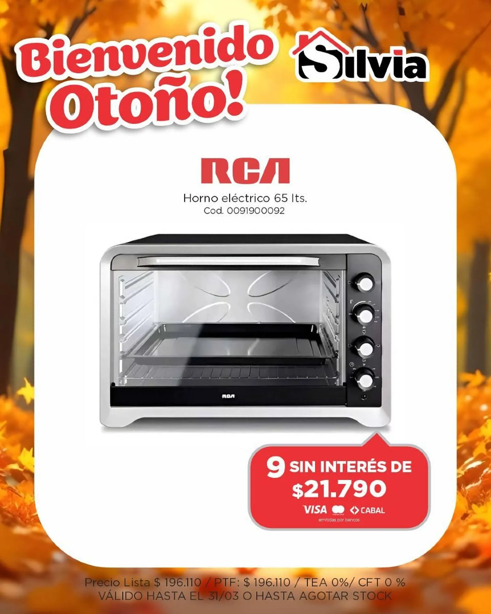 Ofertas de Catálogo Casa Silvia 27 de marzo al 31 de marzo 2025 - Página 5 del catálogo