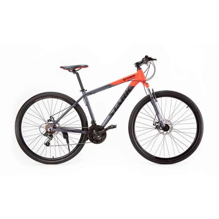 BICICLETA R29 21V