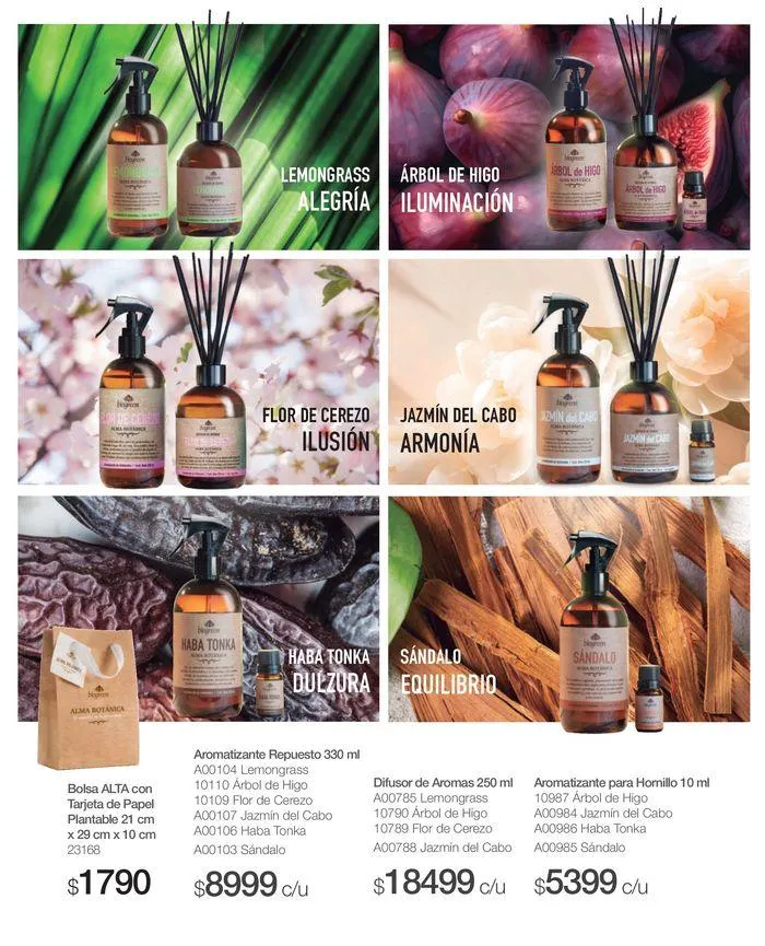 Ofertas de Catálogo Mayo - Junio Biogreen #3 12 de junio al 30 de junio 2024 - Página 23 del catálogo