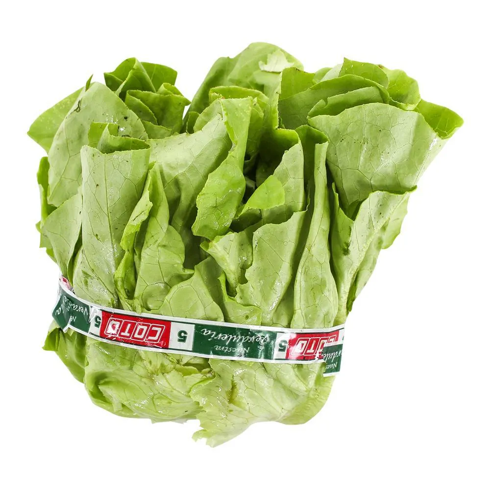 Lechuga Mantecosa X Kg