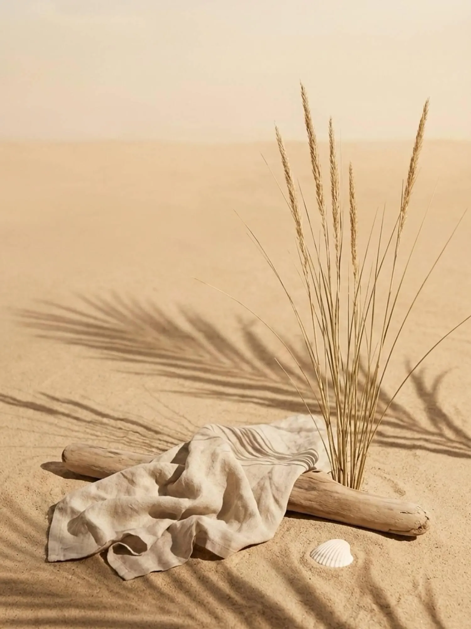 Ofertas de Catálogo Tosone 29 de enero al 4 de febrero 2026 - Página 4 del catálogo