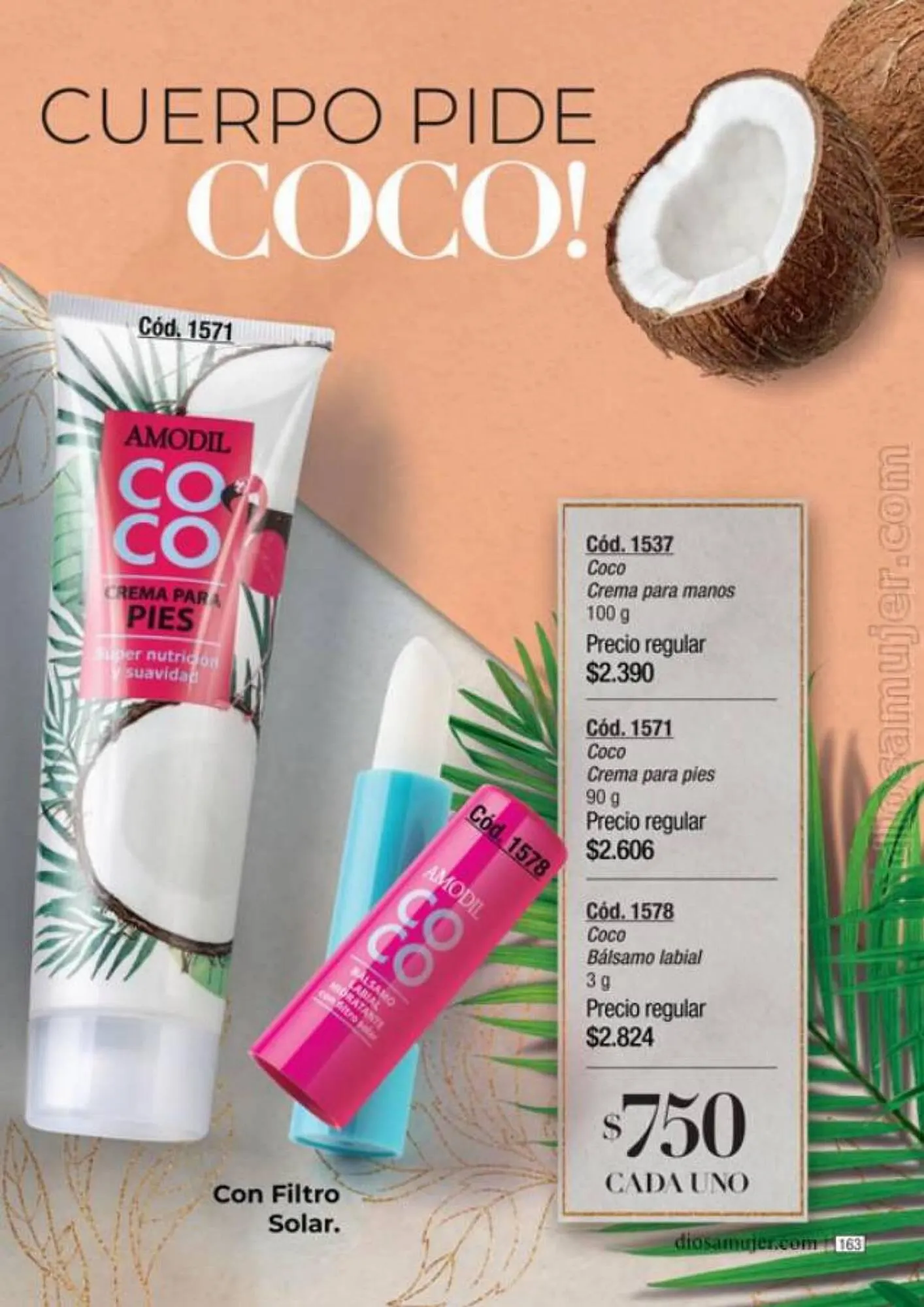 Ofertas de Catálogo Amodil 6 de septiembre al 10 de octubre 2023 - Página 163 del catálogo