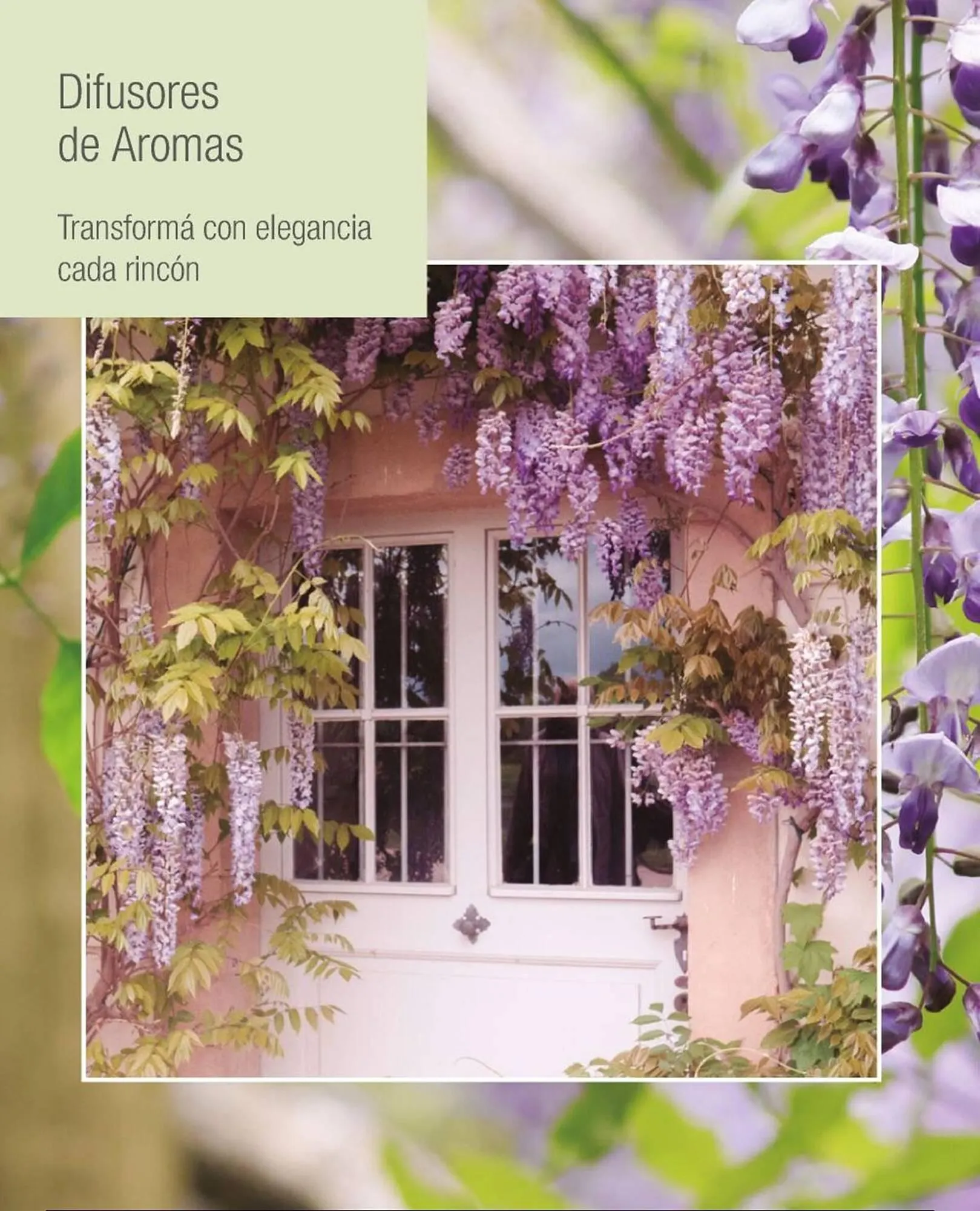 Ofertas de Catálogo Biogreen 16 de febrero al 1 de marzo 2026 - Página 14 del catálogo