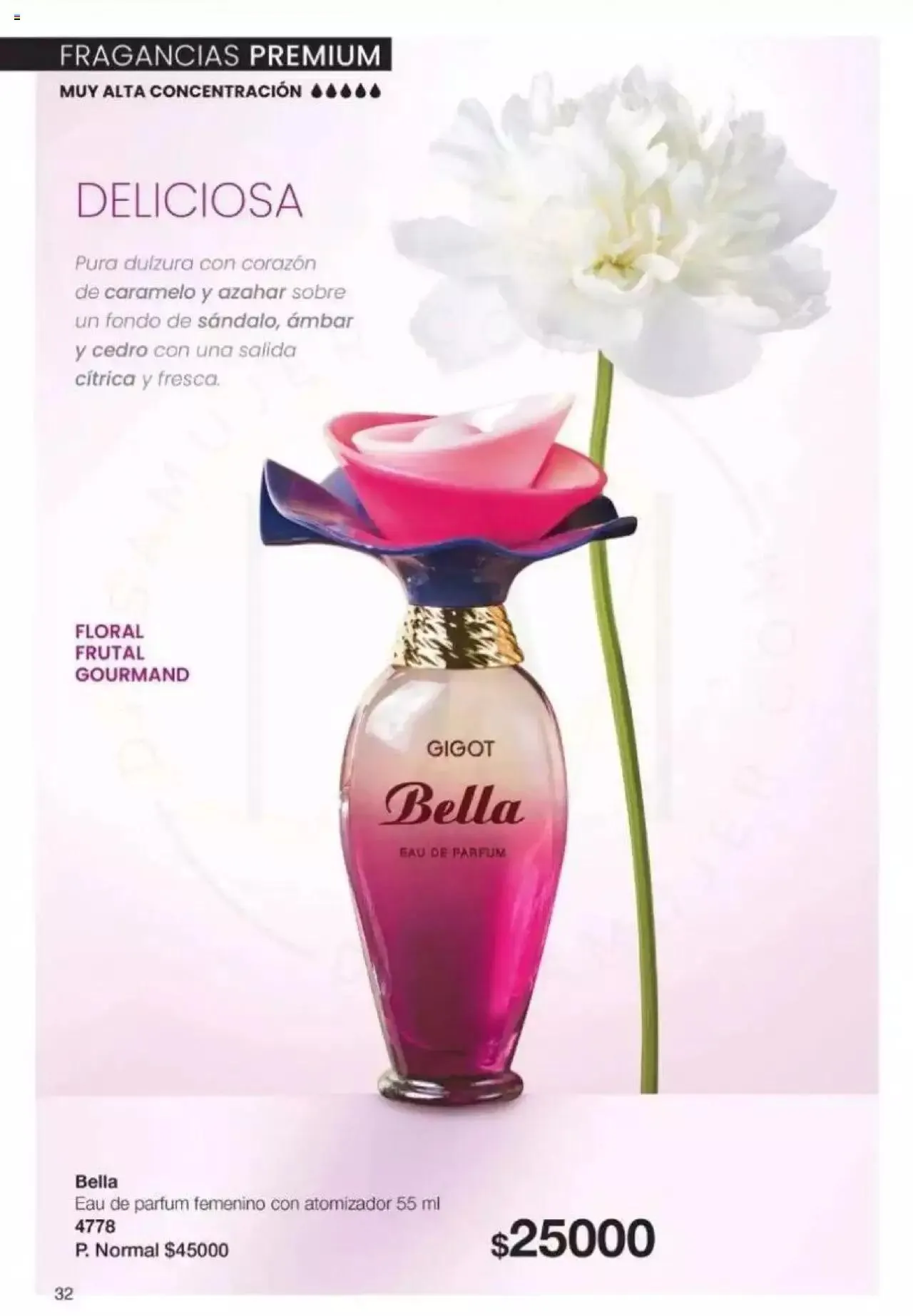 Ofertas de Gigot catálogo 2 de abril al 31 de diciembre 2024 - Página 32 del catálogo