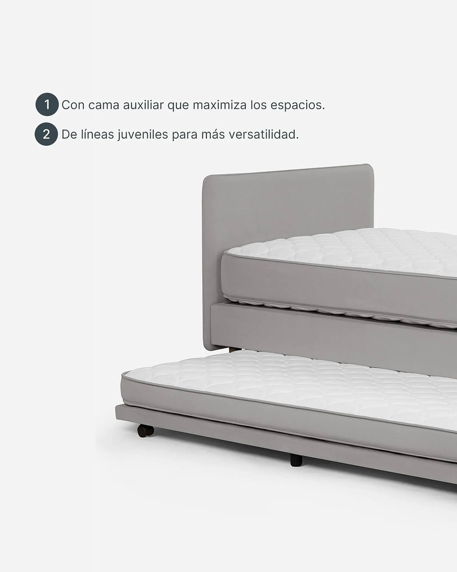 Ofertas de Catálogo Rosen 28 de febrero al 31 de marzo 2025 - Página 2 del catálogo