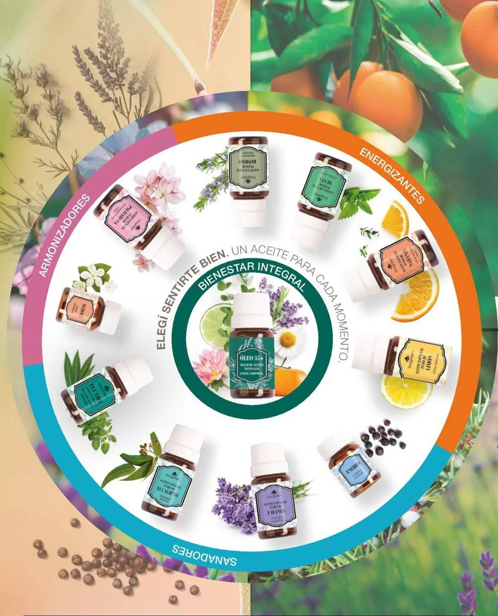 Ofertas de Catálogo Biogreen 30 de enero al 30 de abril 2026 - Página 99 del catálogo