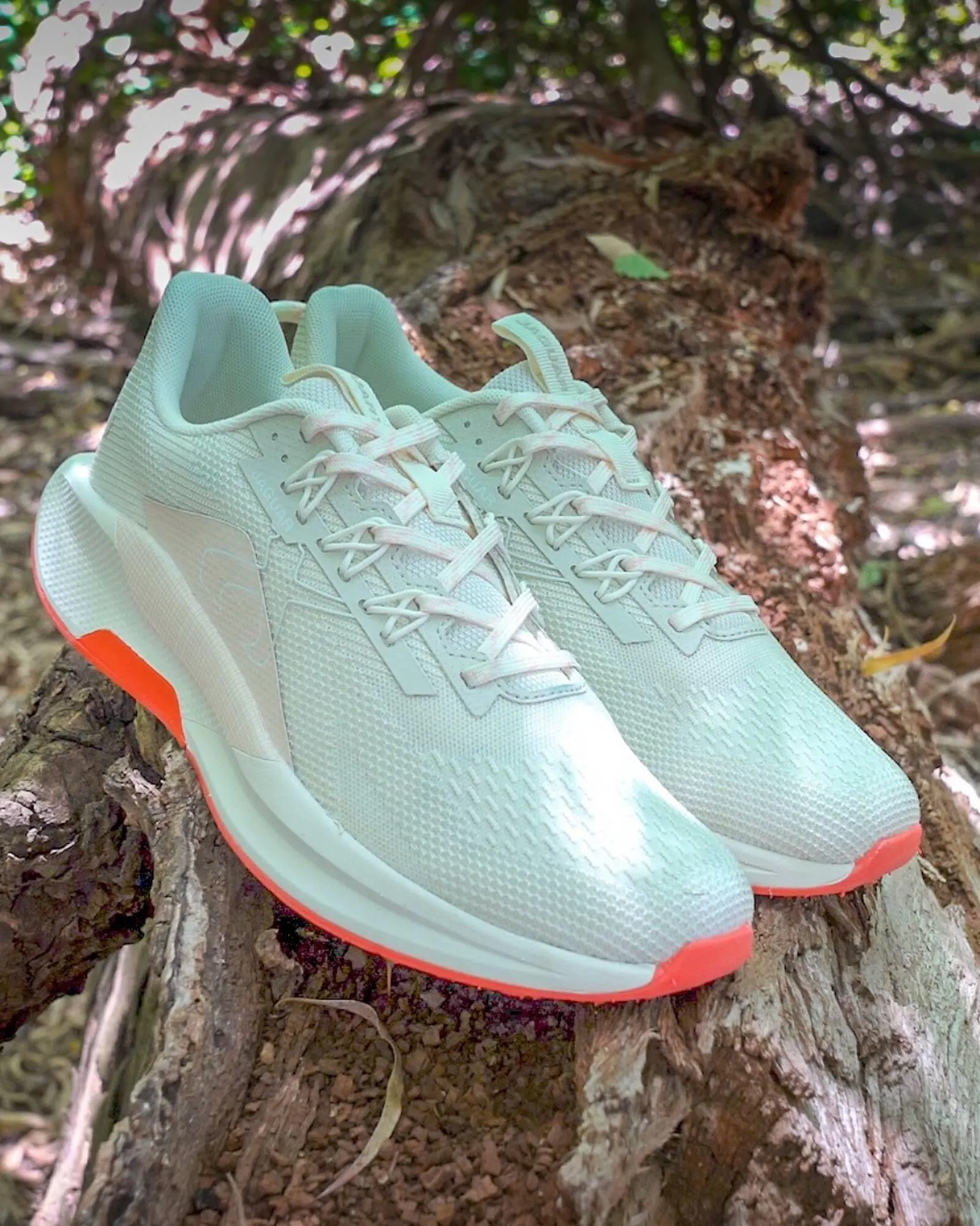 Ofertas de Catálogo Jaguar Shoes 3 de marzo al 7 de marzo 2026 - Página 3 del catálogo