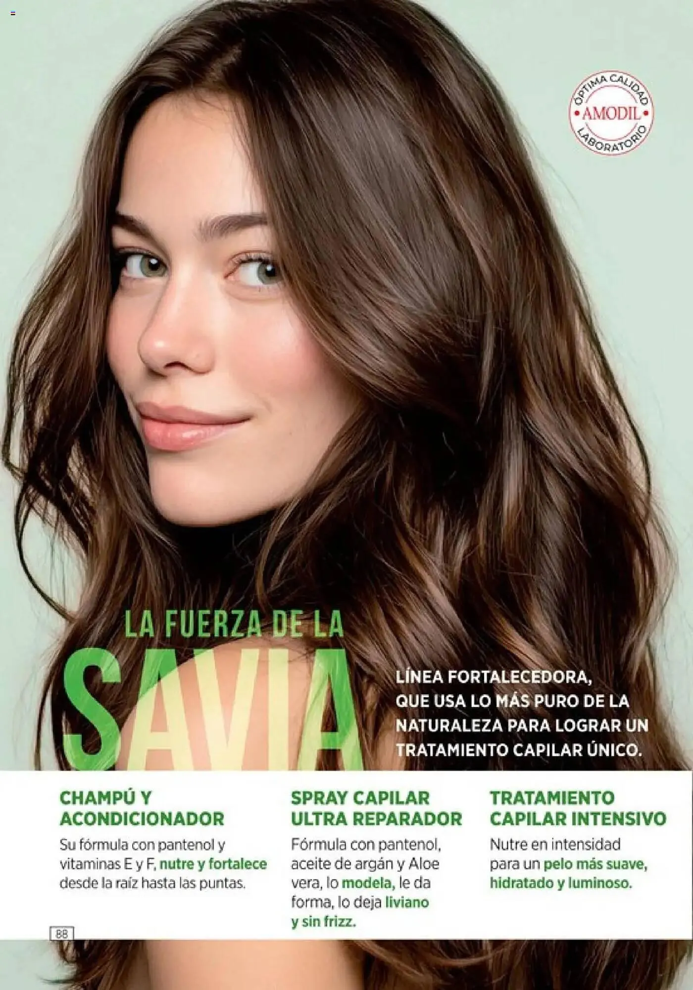 Ofertas de Catálogo Amodil 1 de octubre al 1 de noviembre 2025 - Página 88 del catálogo