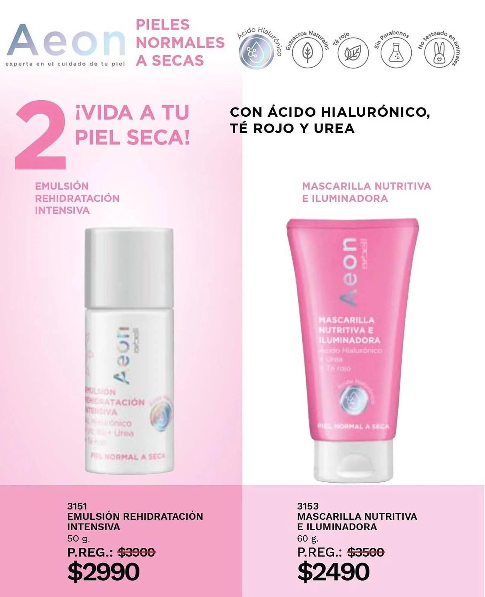 Ofertas de Catálogo Arbell 10 de noviembre al 4 de diciembre 2023 - Página 58 del catálogo