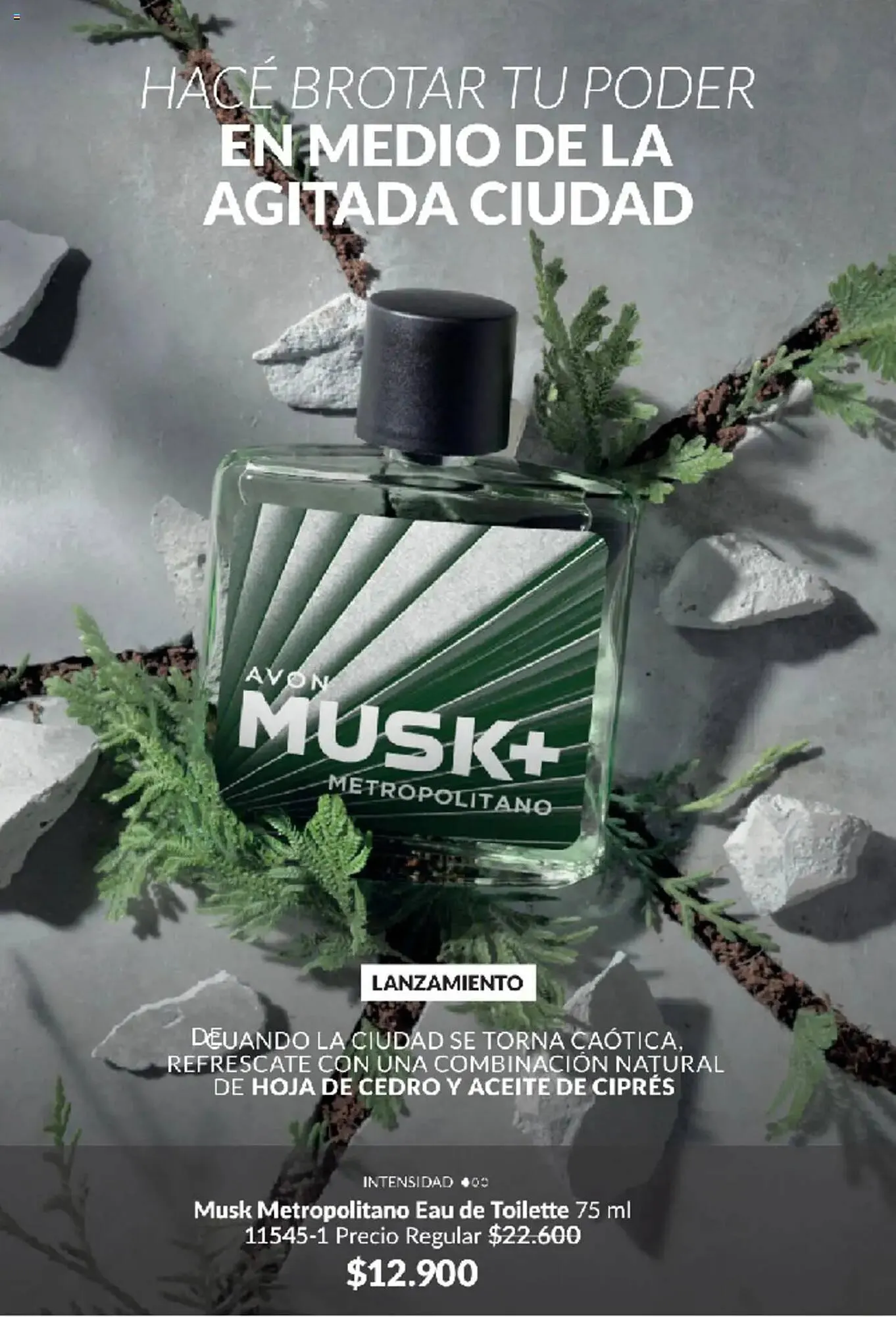 Ofertas de Catálogo Avon 11 de marzo al 24 de marzo 2025 - Página 80 del catálogo