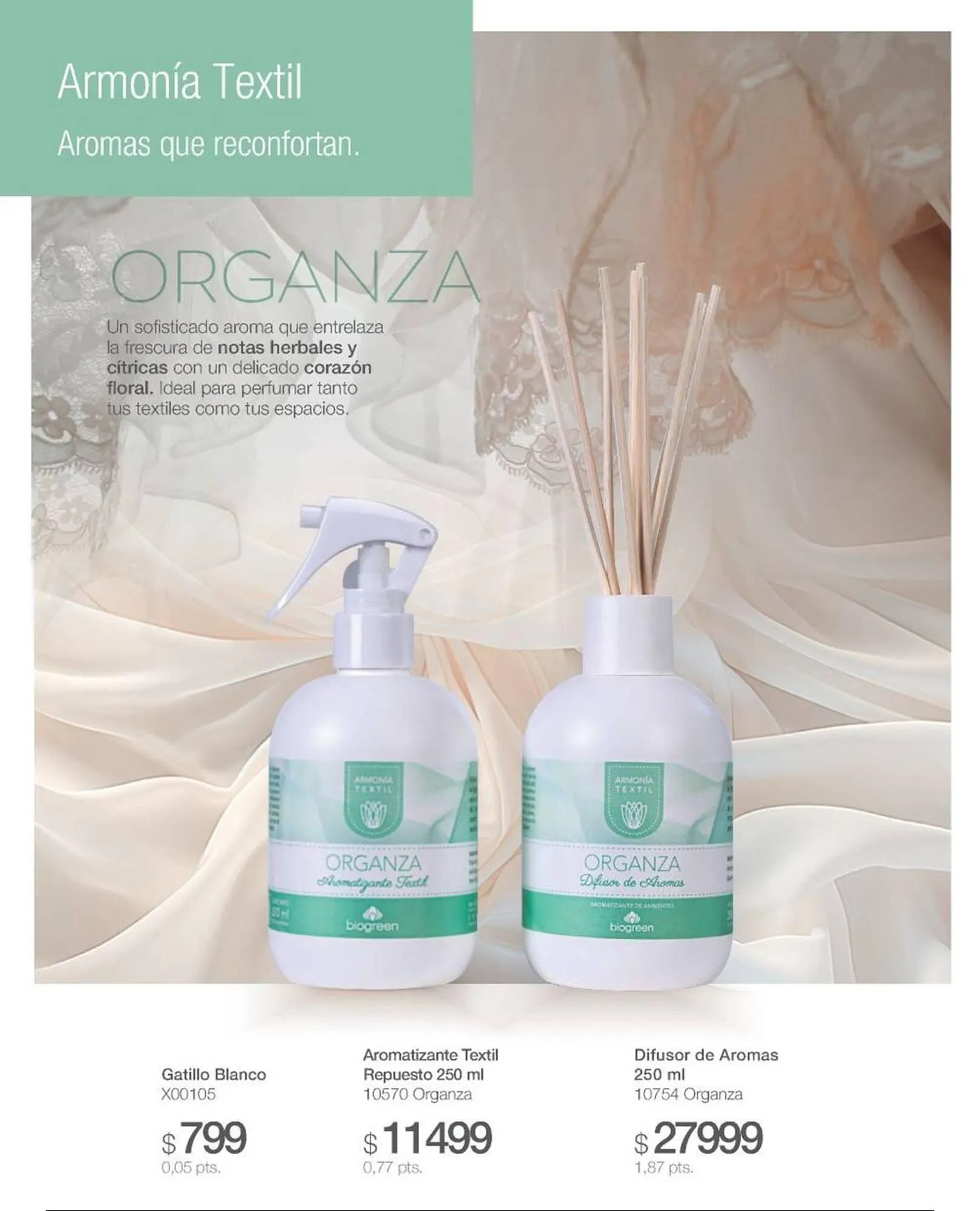 Ofertas de Catálogo Biogreen 28 de julio al 10 de agosto 2025 - Página 42 del catálogo