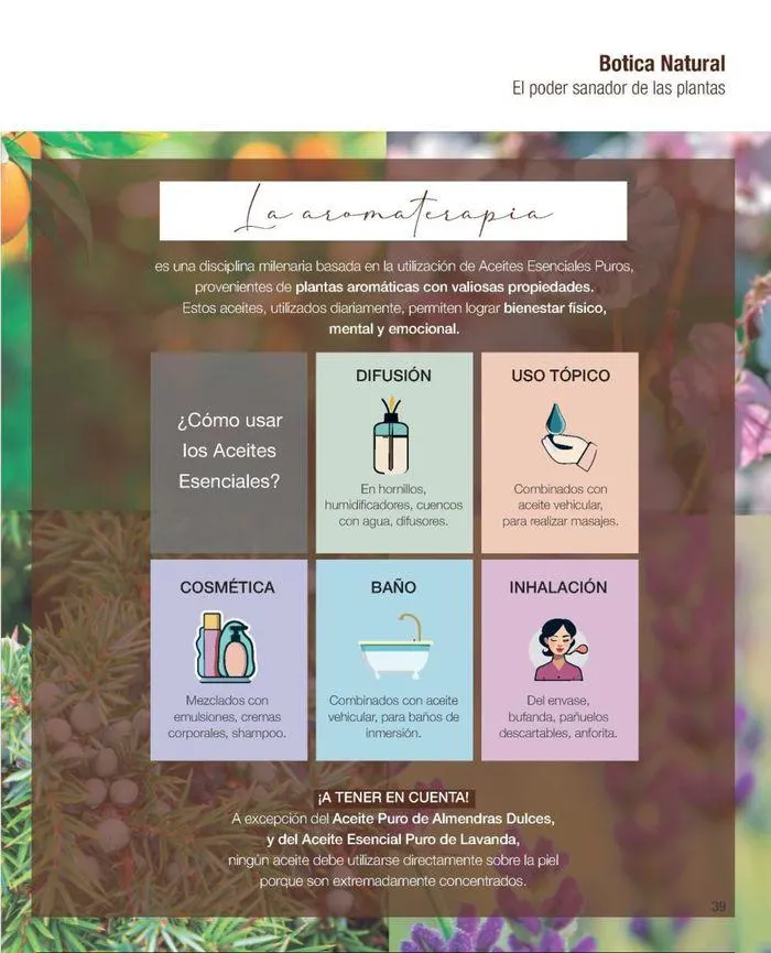 Ofertas de Catálogo de productos Biogreen! 27 de agosto al 11 de septiembre 2024 - Página 41 del catálogo