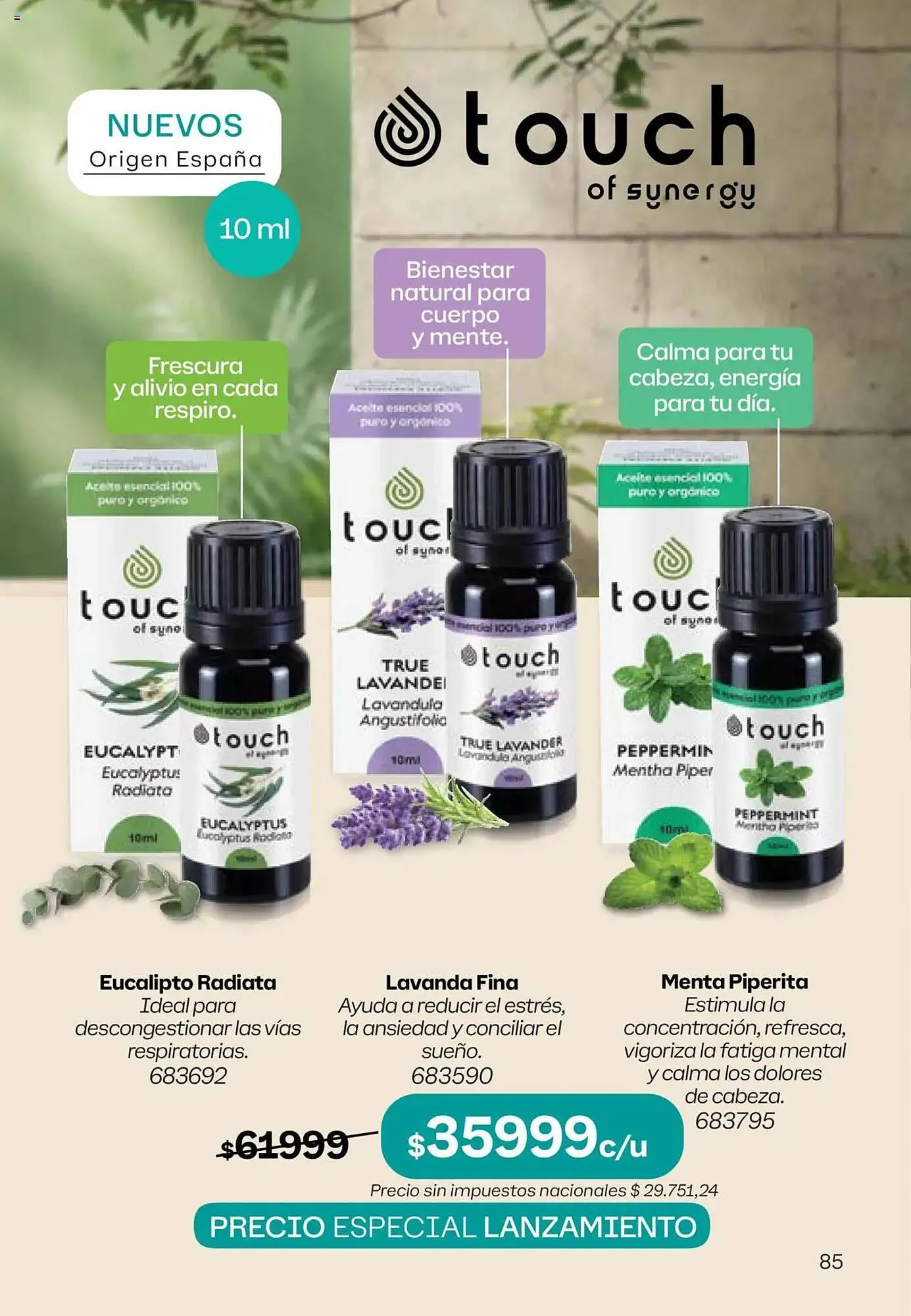 Ofertas de Folleto Tupperware 8 de septiembre al 22 de septiembre 2025 - Página 86 del catálogo