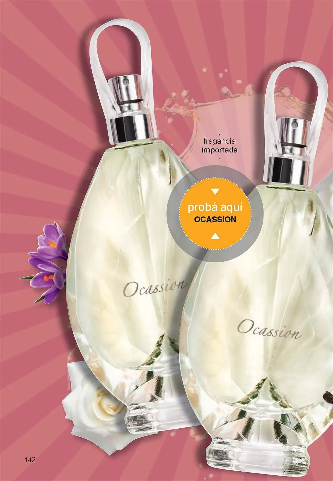 Ofertas de Catálogo Tupperware 4 de julio al 15 de agosto 2023 - Página 143 del catálogo