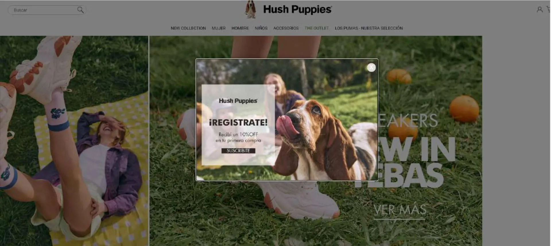 Ofertas de Catálogo Hush Puppies 23 de octubre al 30 de noviembre 2023 - Página 1 del catálogo
