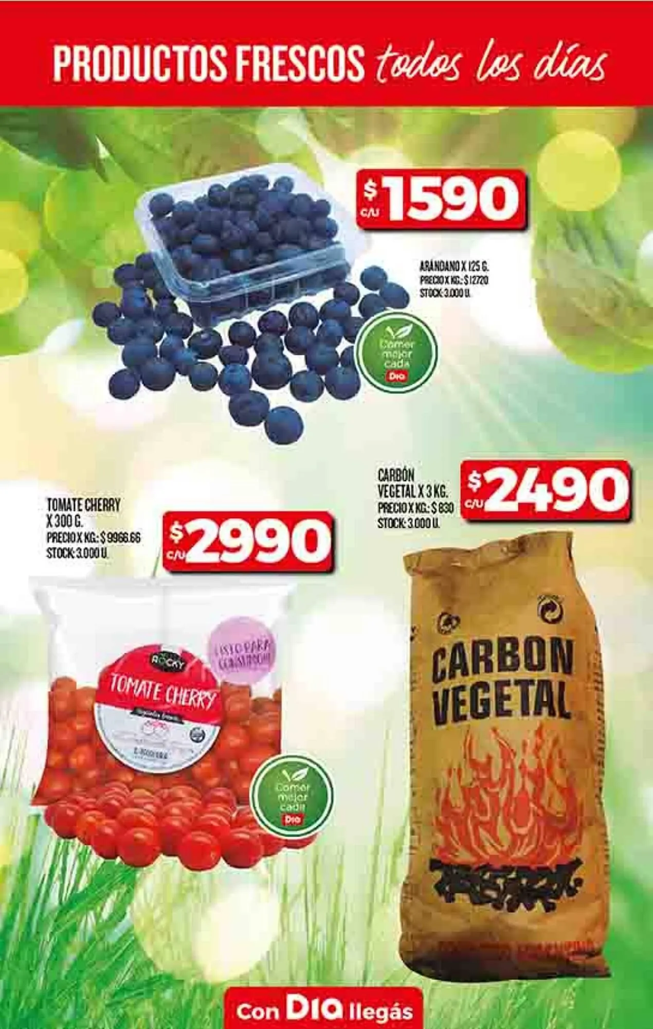 Ofertas de Catálogo Supermercados DIA 9 de enero al 13 de enero 2025 - Página 6 del catálogo