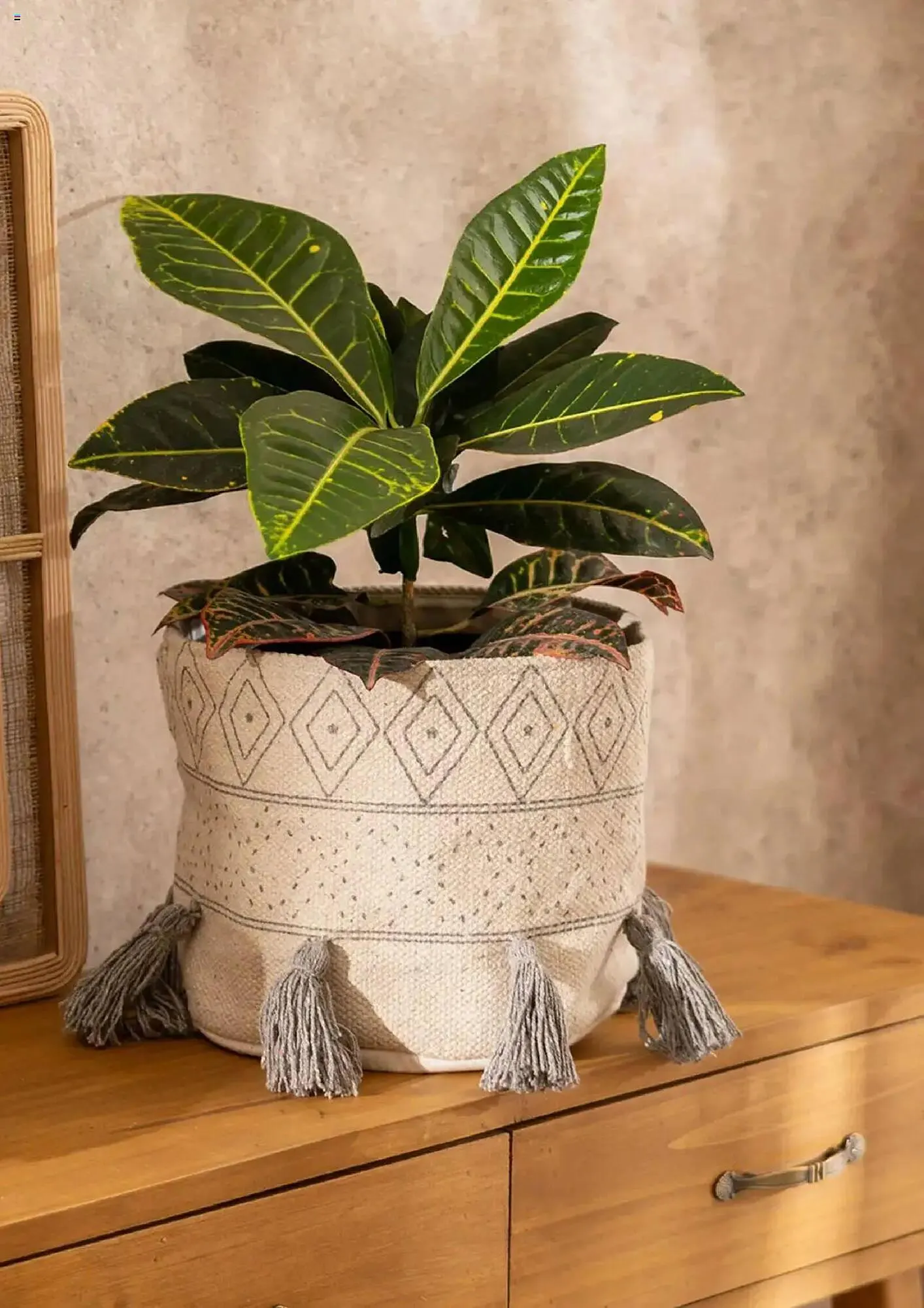 Ofertas de Catálogo Arredo 18 de febrero al 18 de marzo 2025 - Página 5 del catálogo