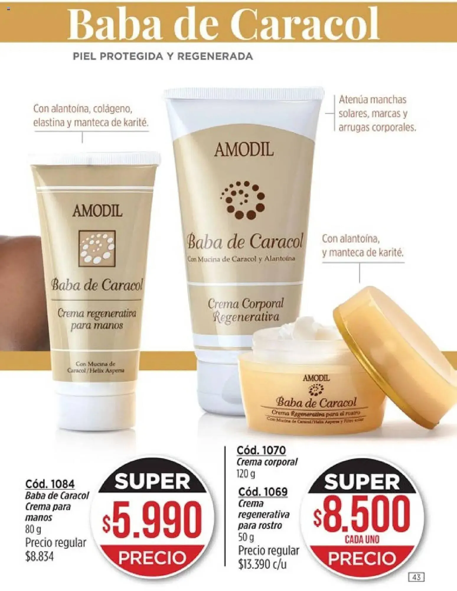 Ofertas de Catálogo Amodil 14 de octubre al 1 de diciembre 2025 - Página 43 del catálogo