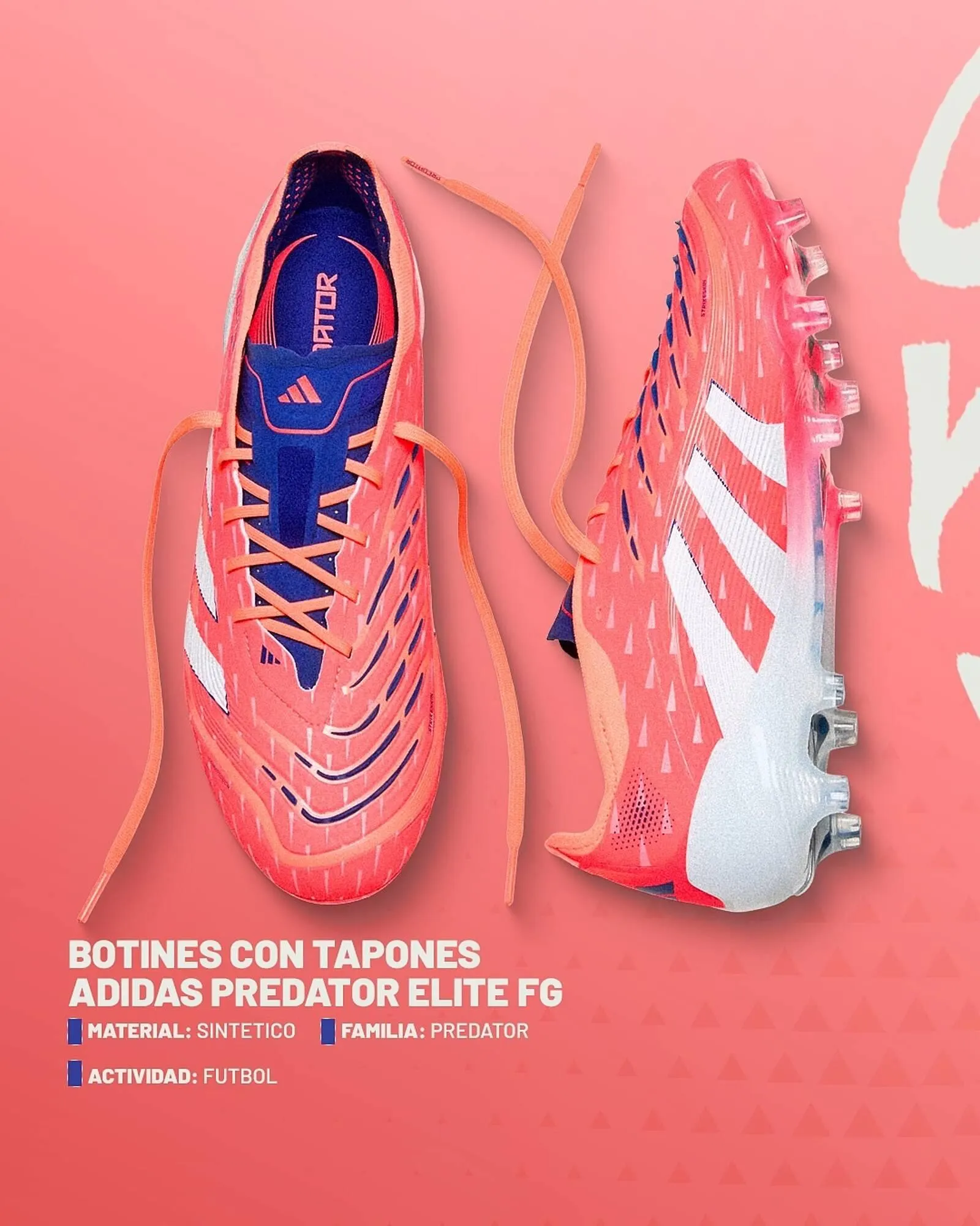 Catálogo Sportline - 1