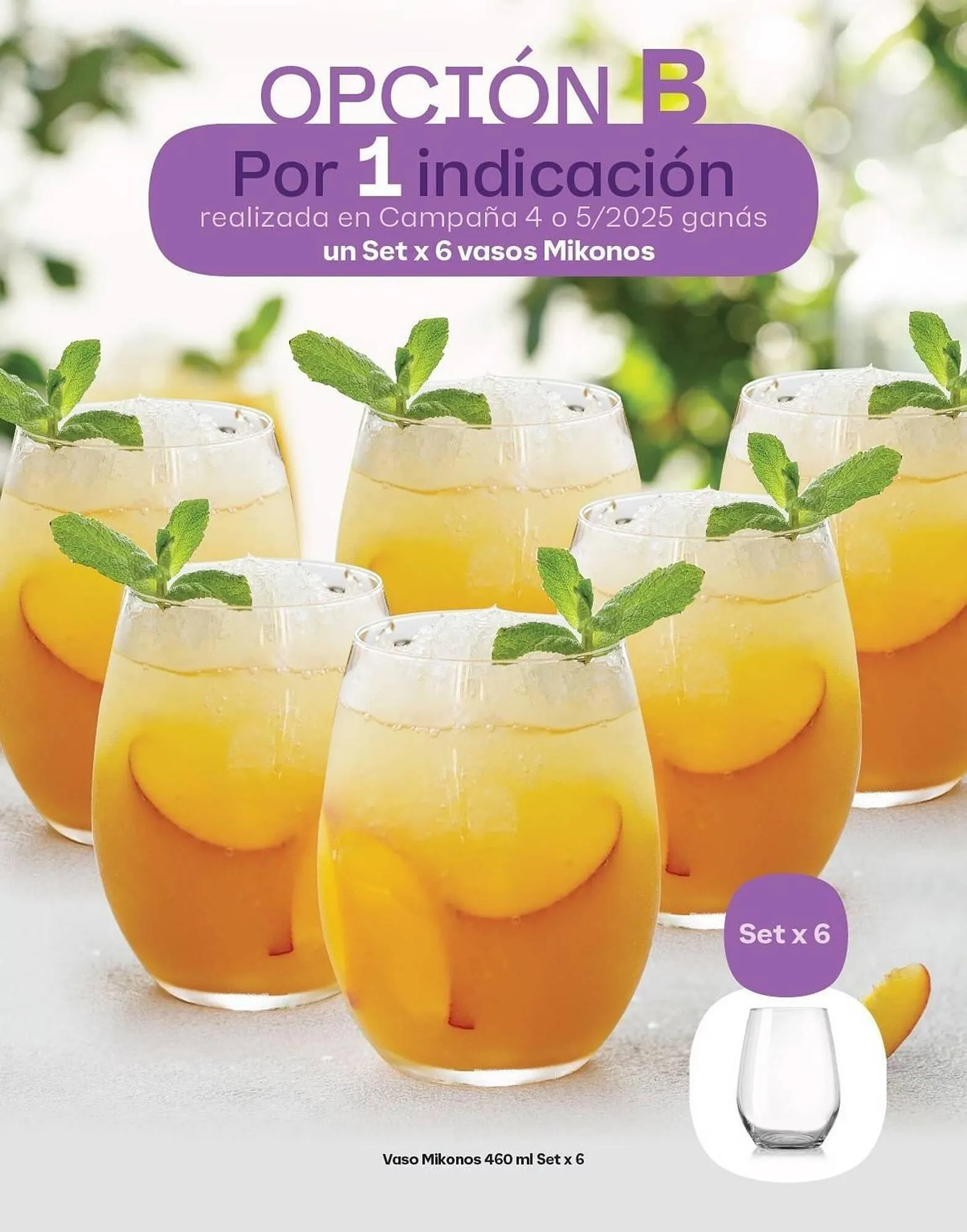 Ofertas de Catálogo Tupperware 11 de marzo al 31 de mayo 2025 - Página 3 del catálogo