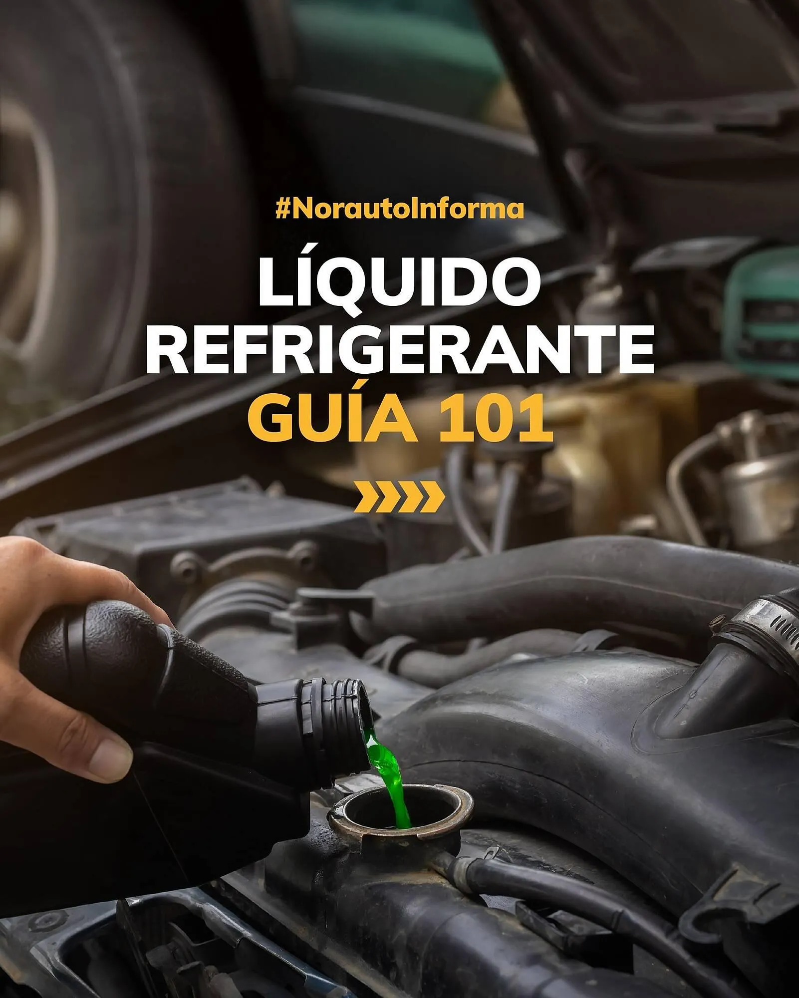 Catálogo Norauto - 1