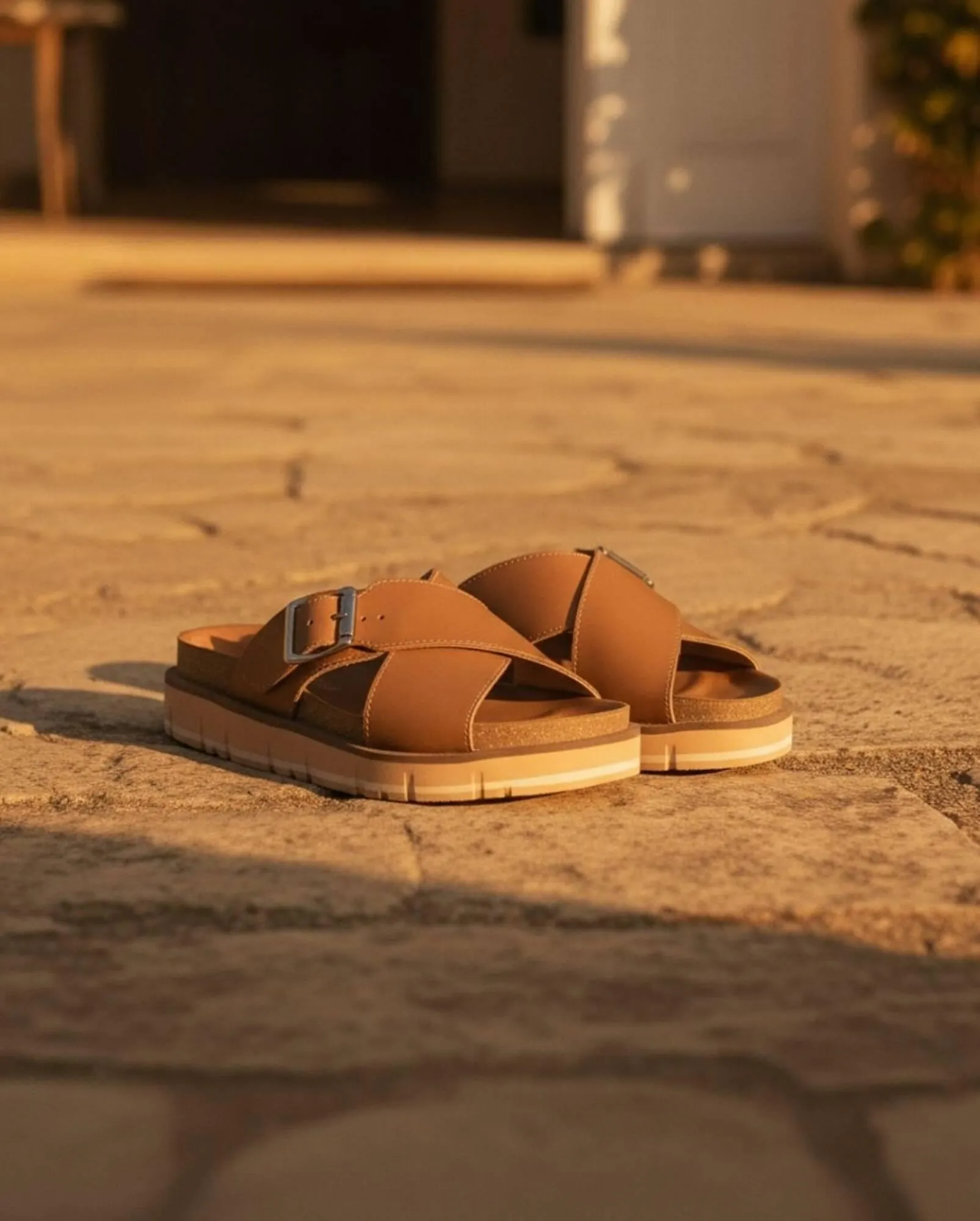 Ofertas de Catálogo Tosone 3 de diciembre al 16 de diciembre 2025 - Página 3 del catálogo