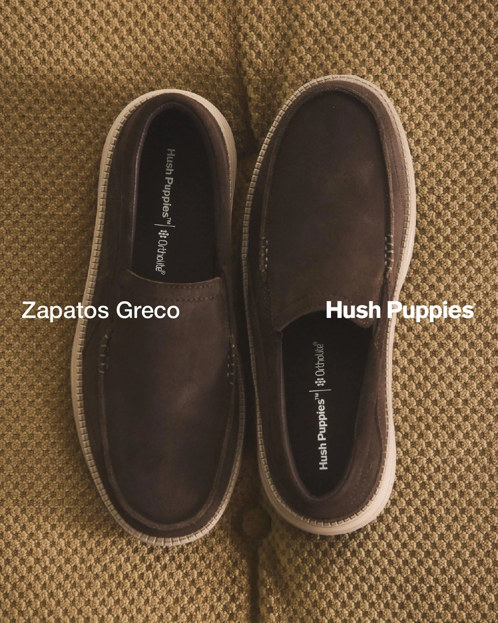 Ofertas de Catálogo Grimoldi 26 de marzo al 26 de marzo 2026 - Página 3 del catálogo