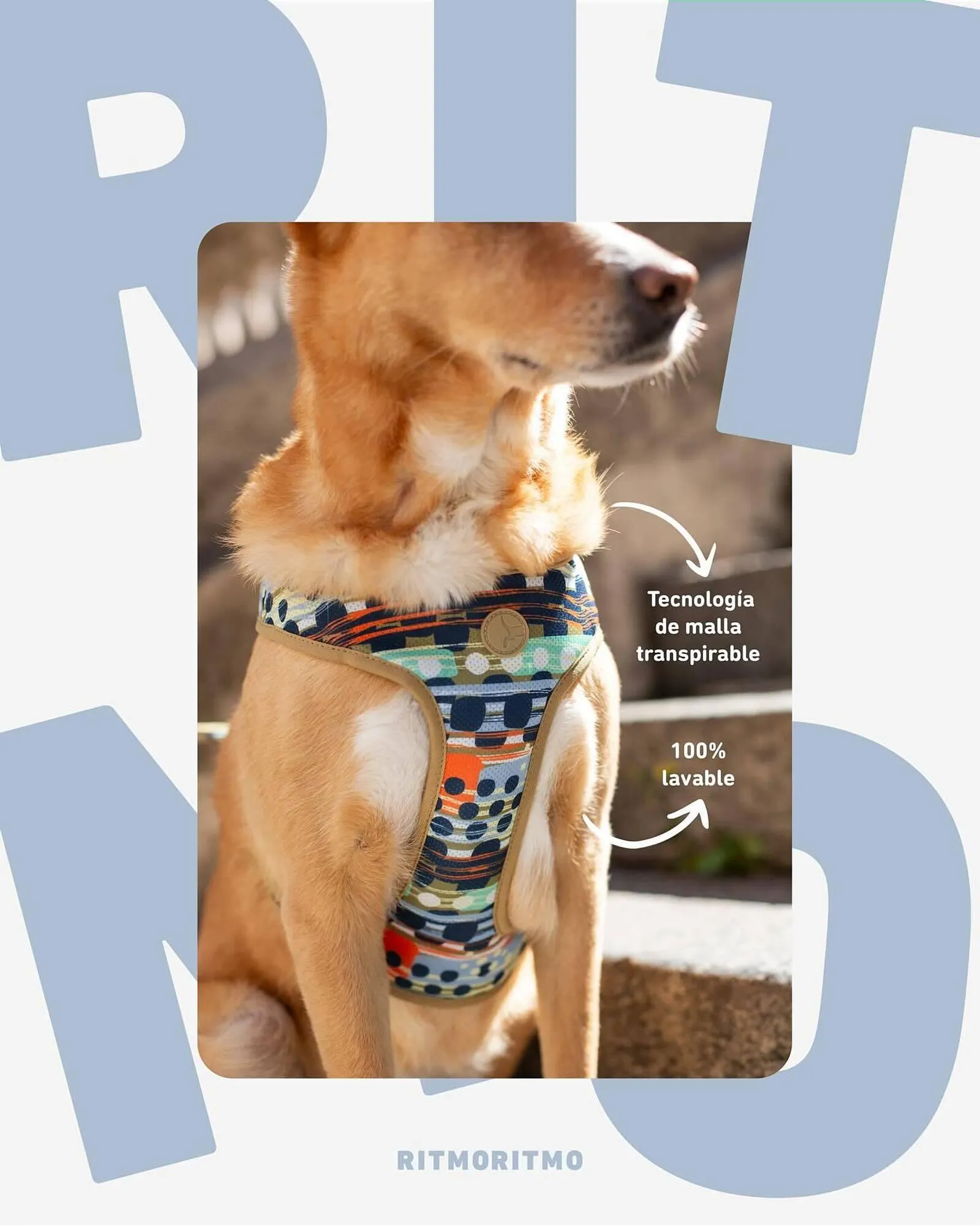 Ofertas de Catálogo Puppis 3 de diciembre al 9 de diciembre 2025 - Página 4 del catálogo