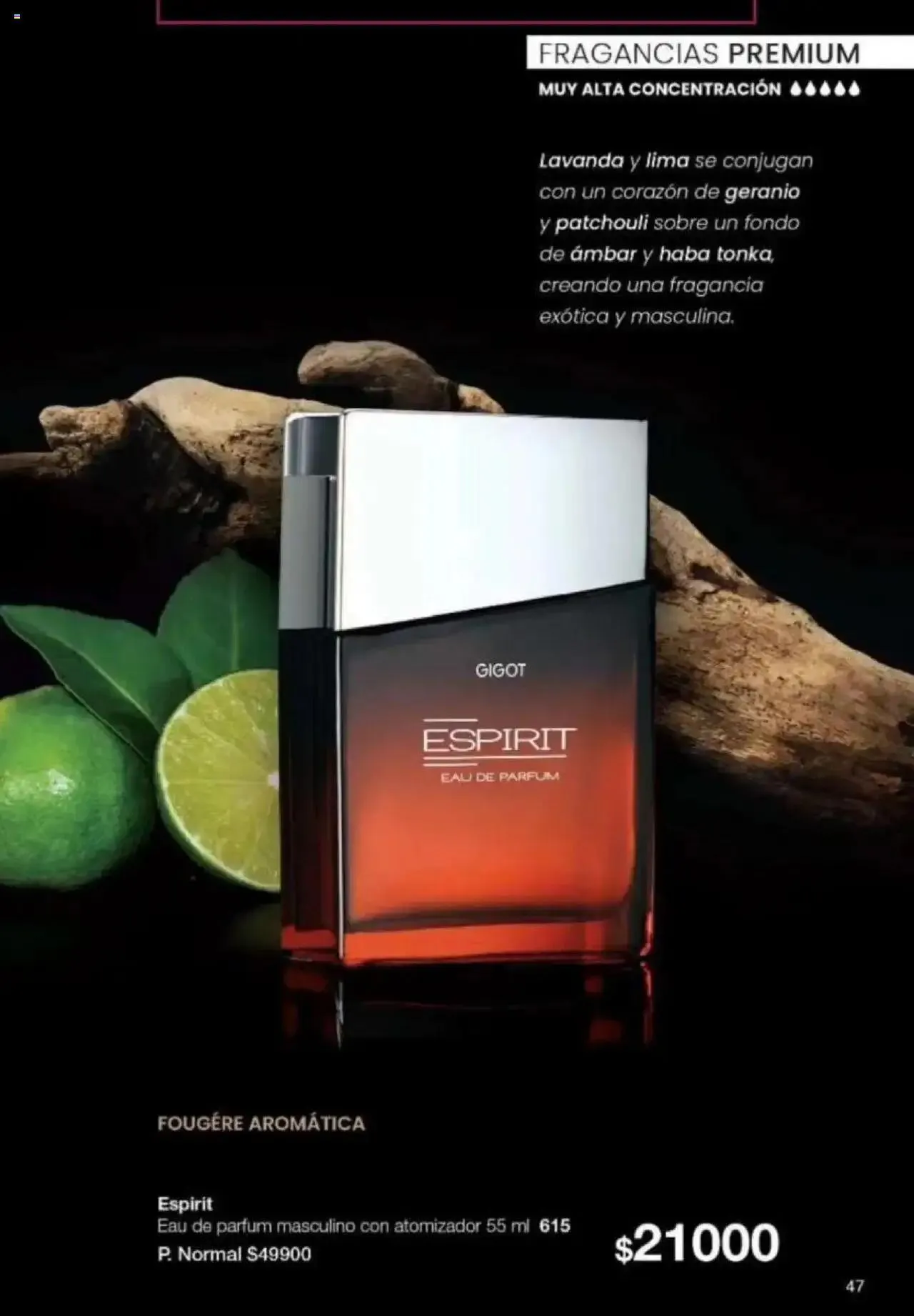 Ofertas de Gigot catálogo 4 de octubre al 31 de diciembre 2024 - Página 41 del catálogo