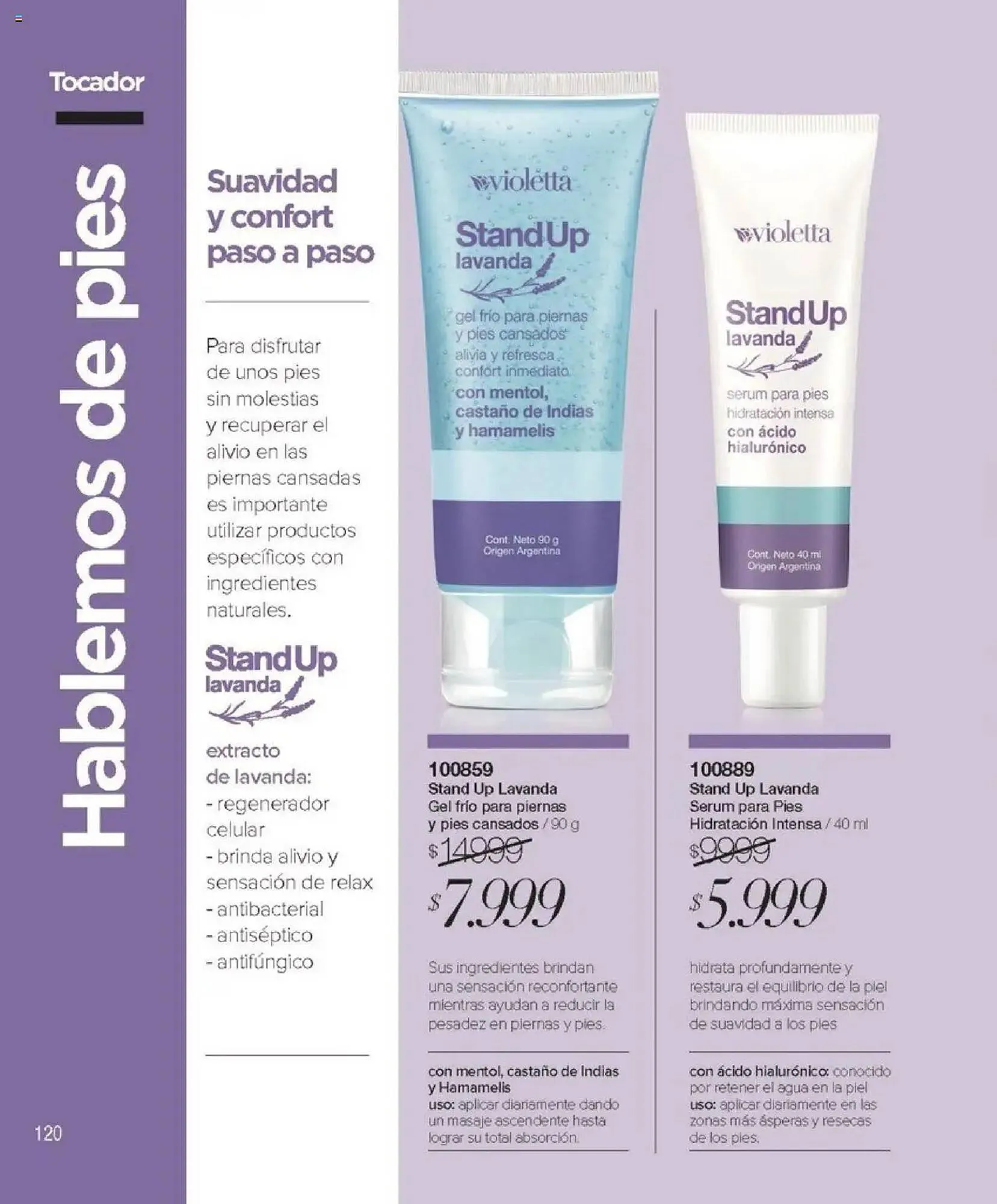 Ofertas de Catálogo Violetta Cosméticos 7 de agosto al 21 de agosto 2025 - Página 120 del catálogo