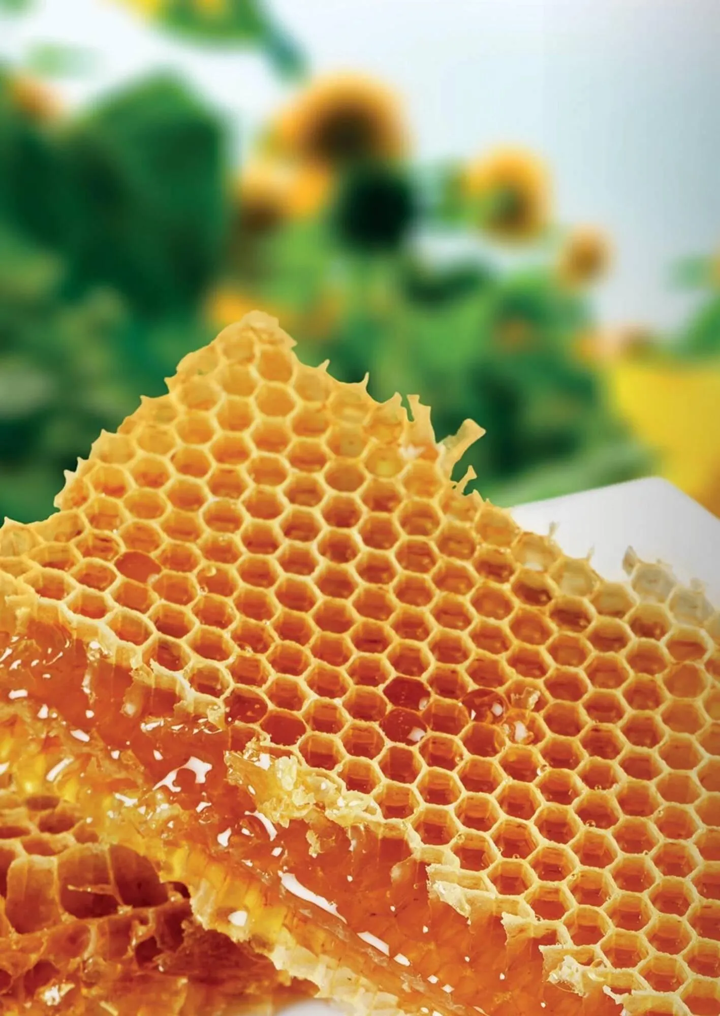 Ofertas de Catálogo Reino Cosmética 9 de abril al 22 de abril 2025 - Página 192 del catálogo