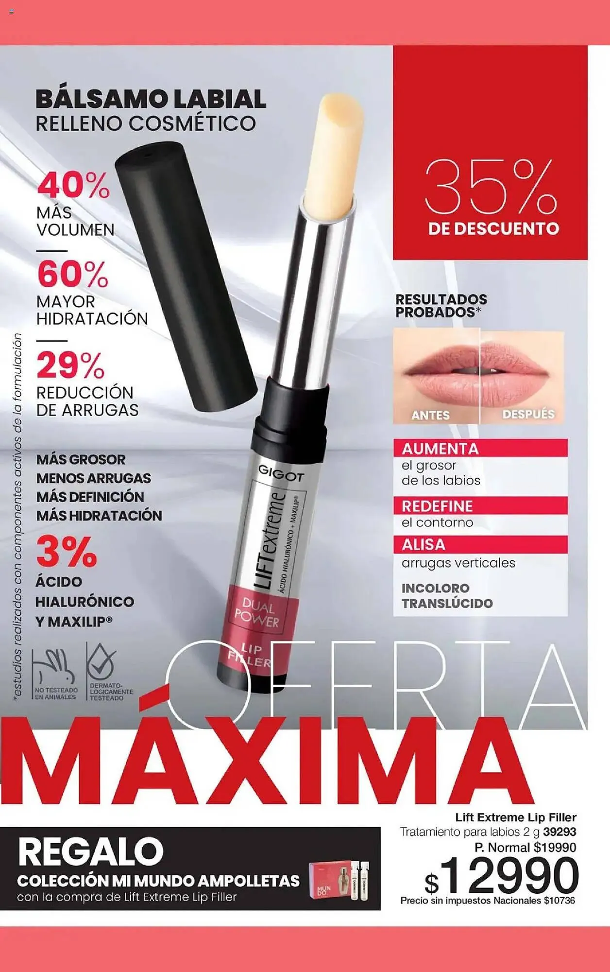 Ofertas de Folleto Gigot 1 de octubre al 31 de octubre 2025 - Página 37 del catálogo